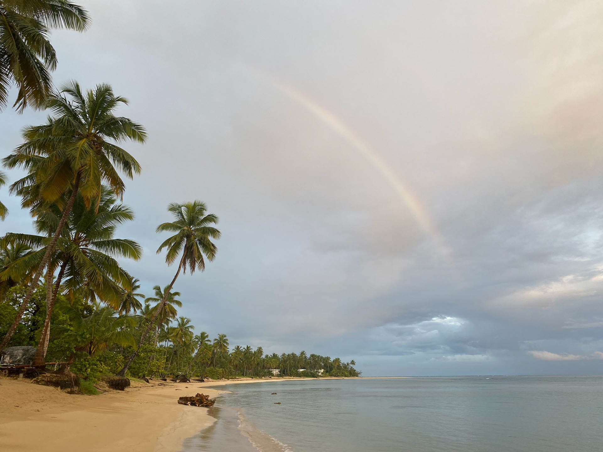 SAMANA (REP.DOMINICANA)  Camera: IPHONE 11 - 4.25 mm - Aperture: f/1.8 - Exposure Time:1/230 s - ISO 32 - Date Taken: 2021-08-14 06:23