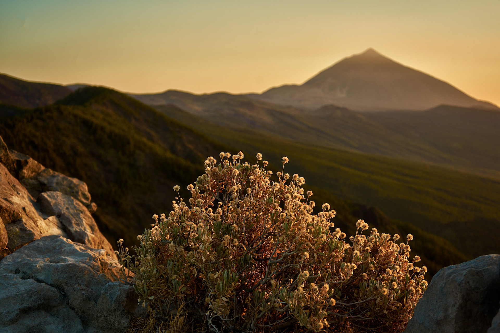 TENERIFE (ISLAS CANARIAS)  Camera: Sony ilce- 7m2 -  Lens: 28-70 (53mm) - Aperture: f/5.0 - Exposure Time: 1/60 - ISO100 - Date Taken: 2022-07-30 21:45
