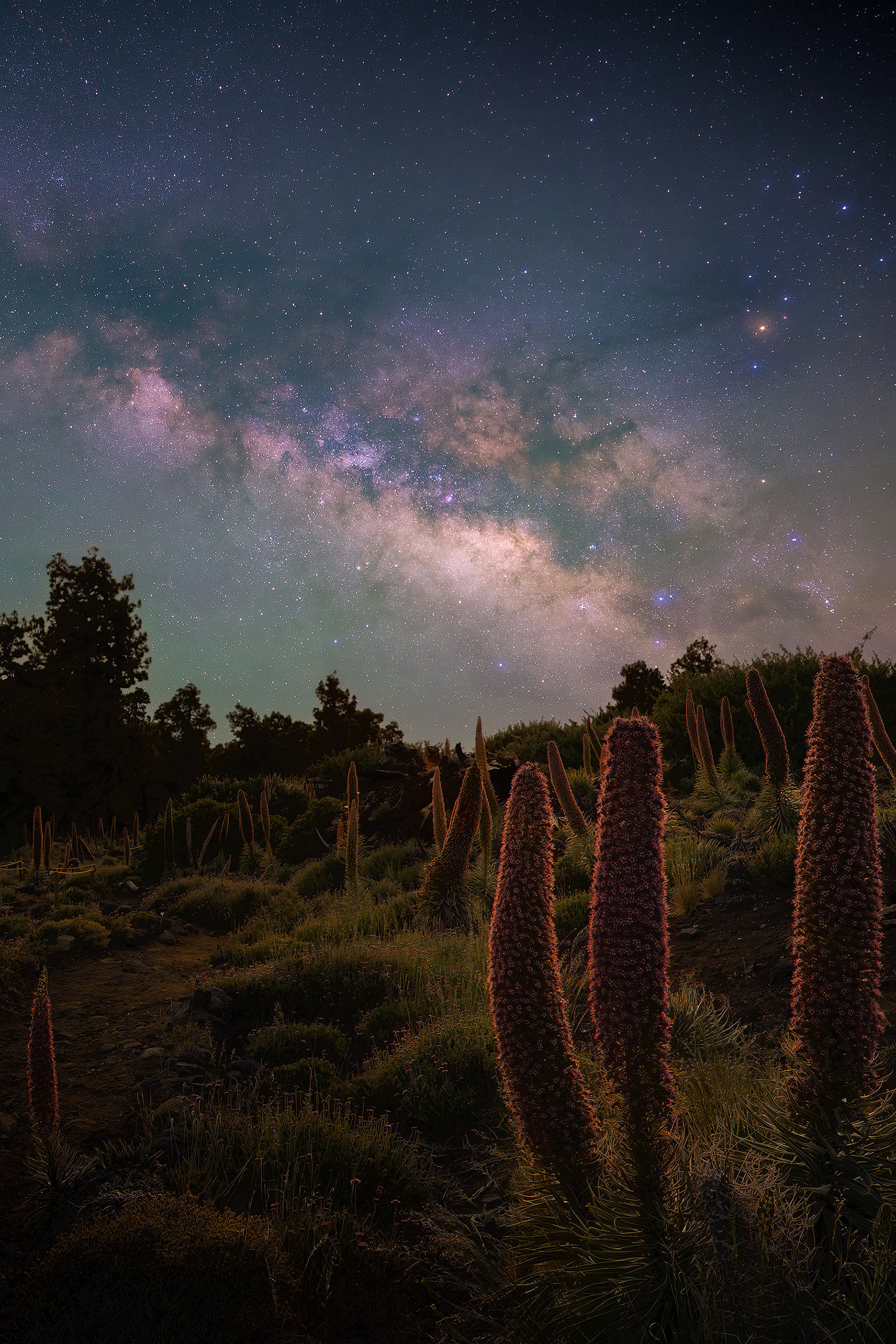 Isla de la Palma (Canarias)