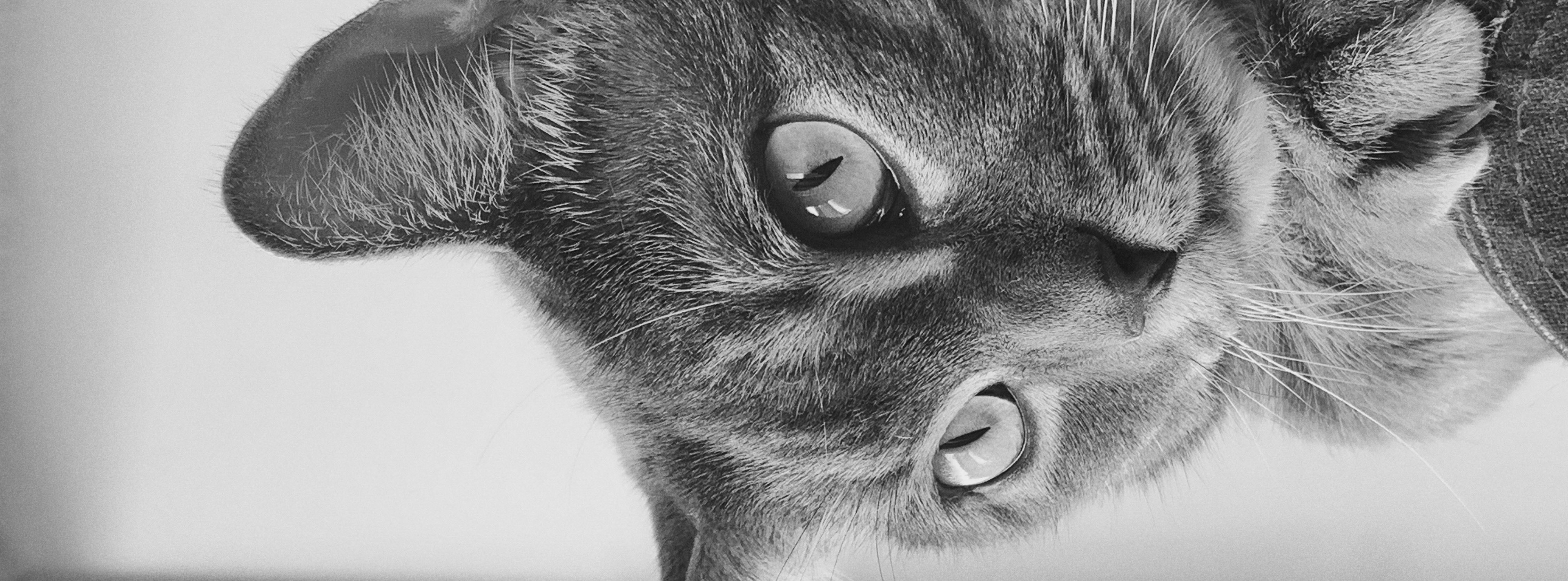 Shot with FIMO Tri-X 400.