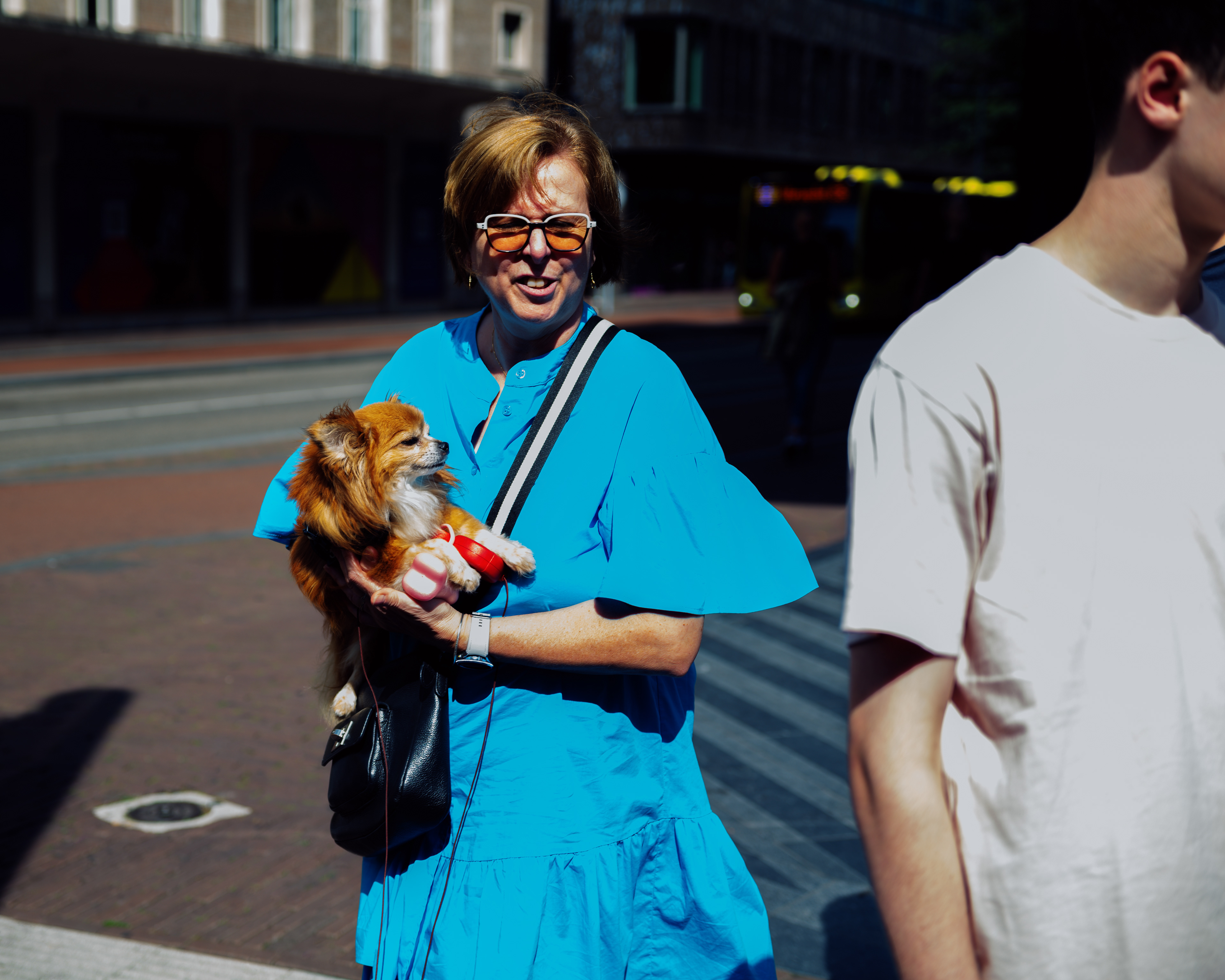 dogs_16