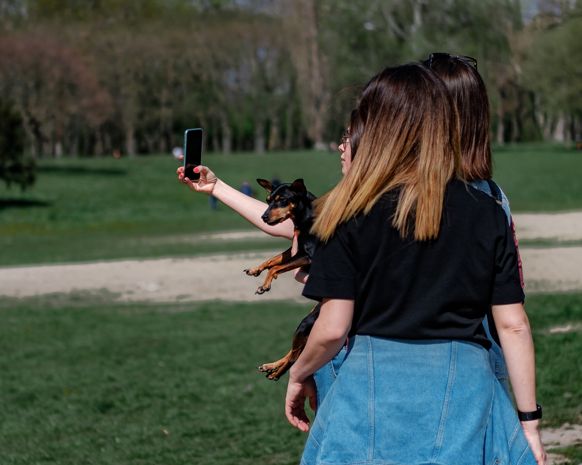 dogs_03