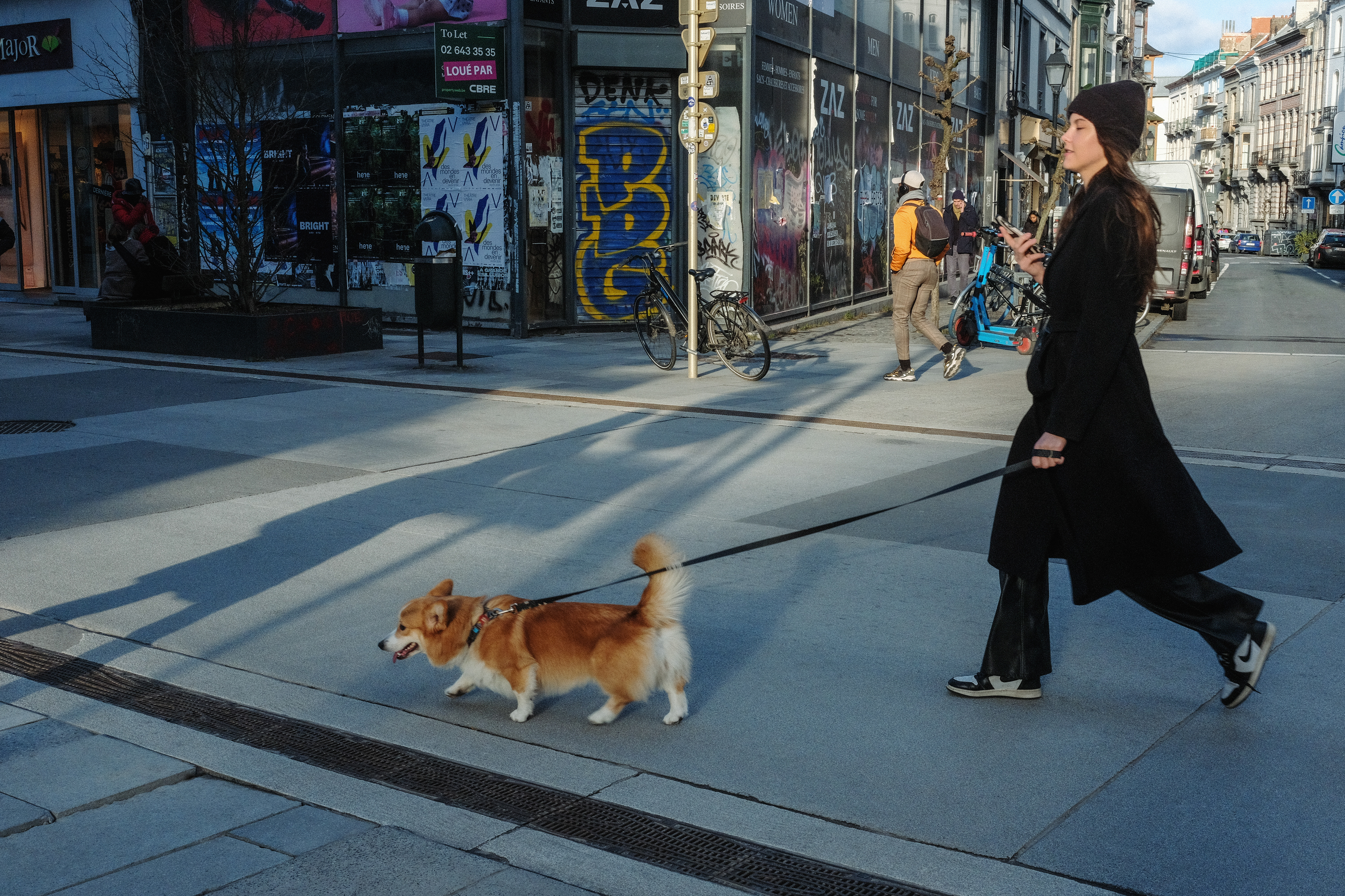 dogs_19