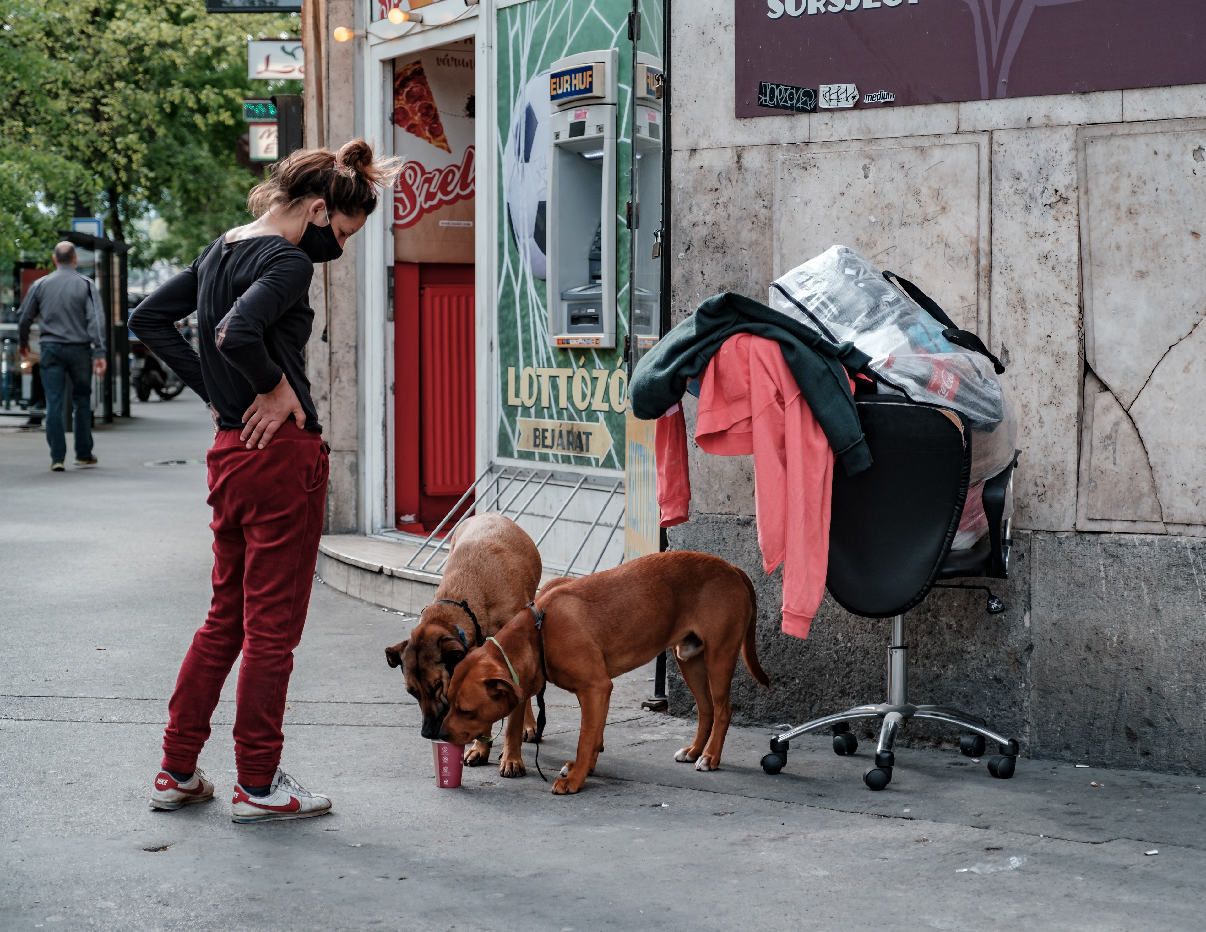 dogs_05