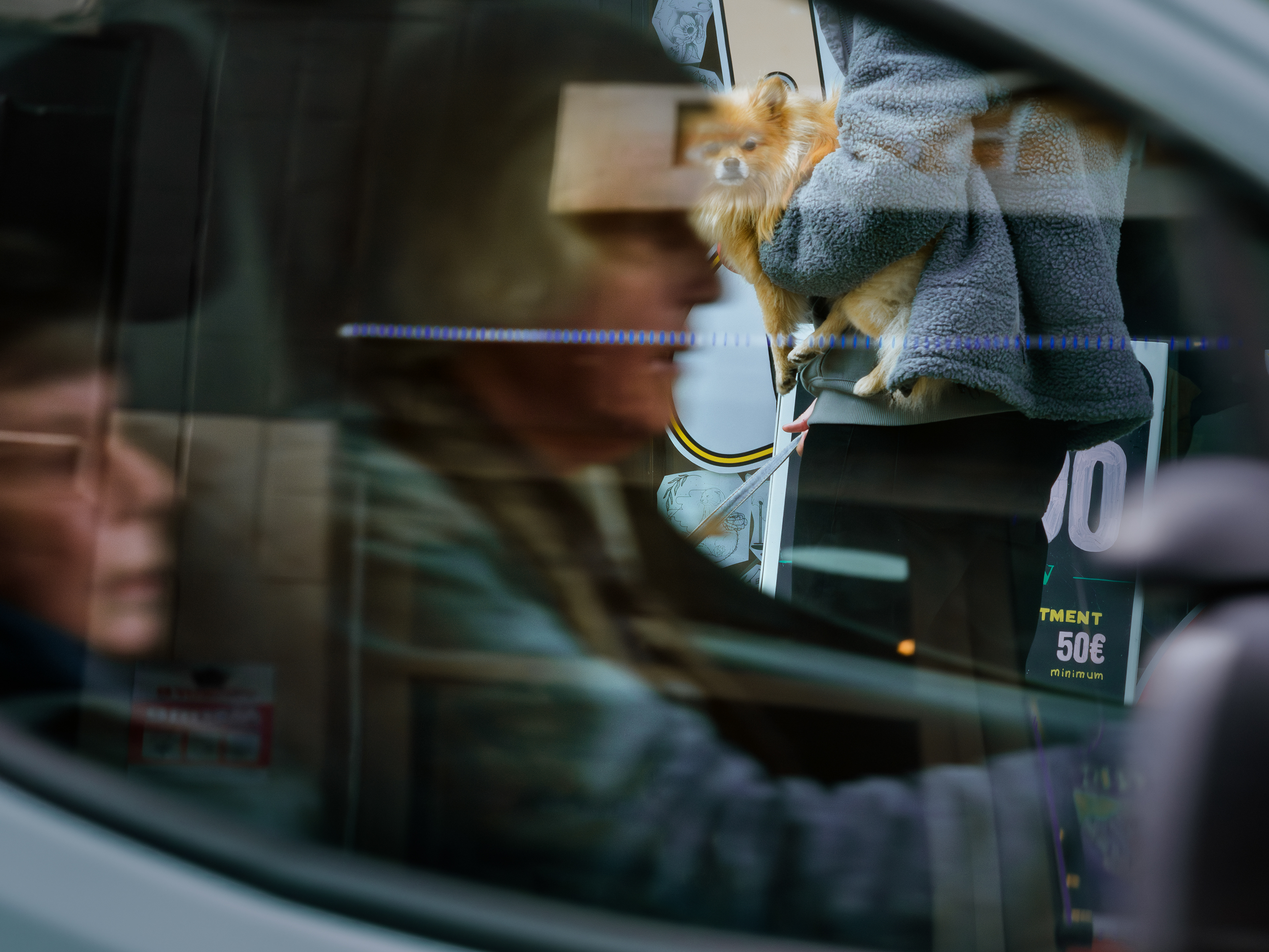 dogs_01