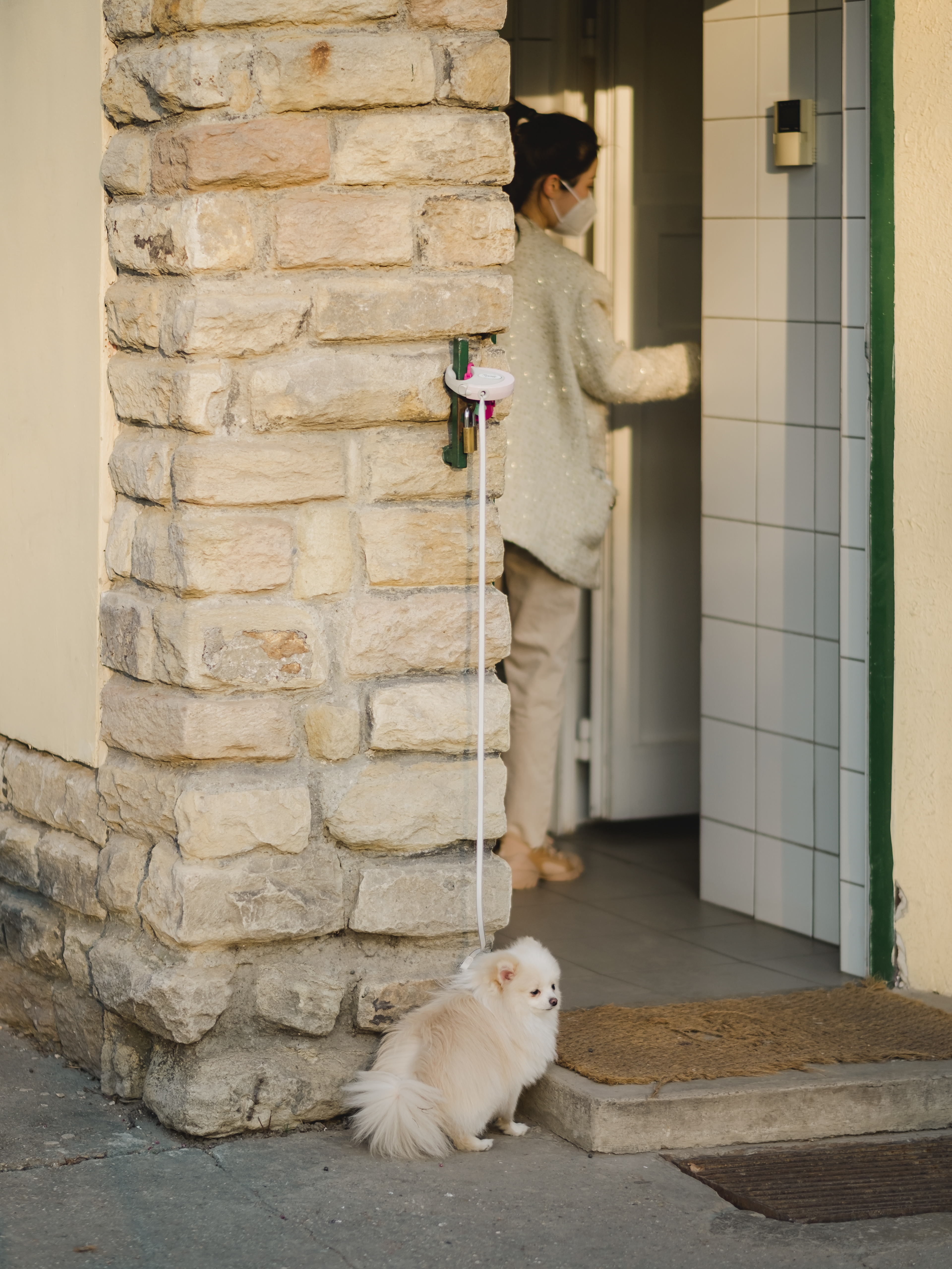 dogs_10