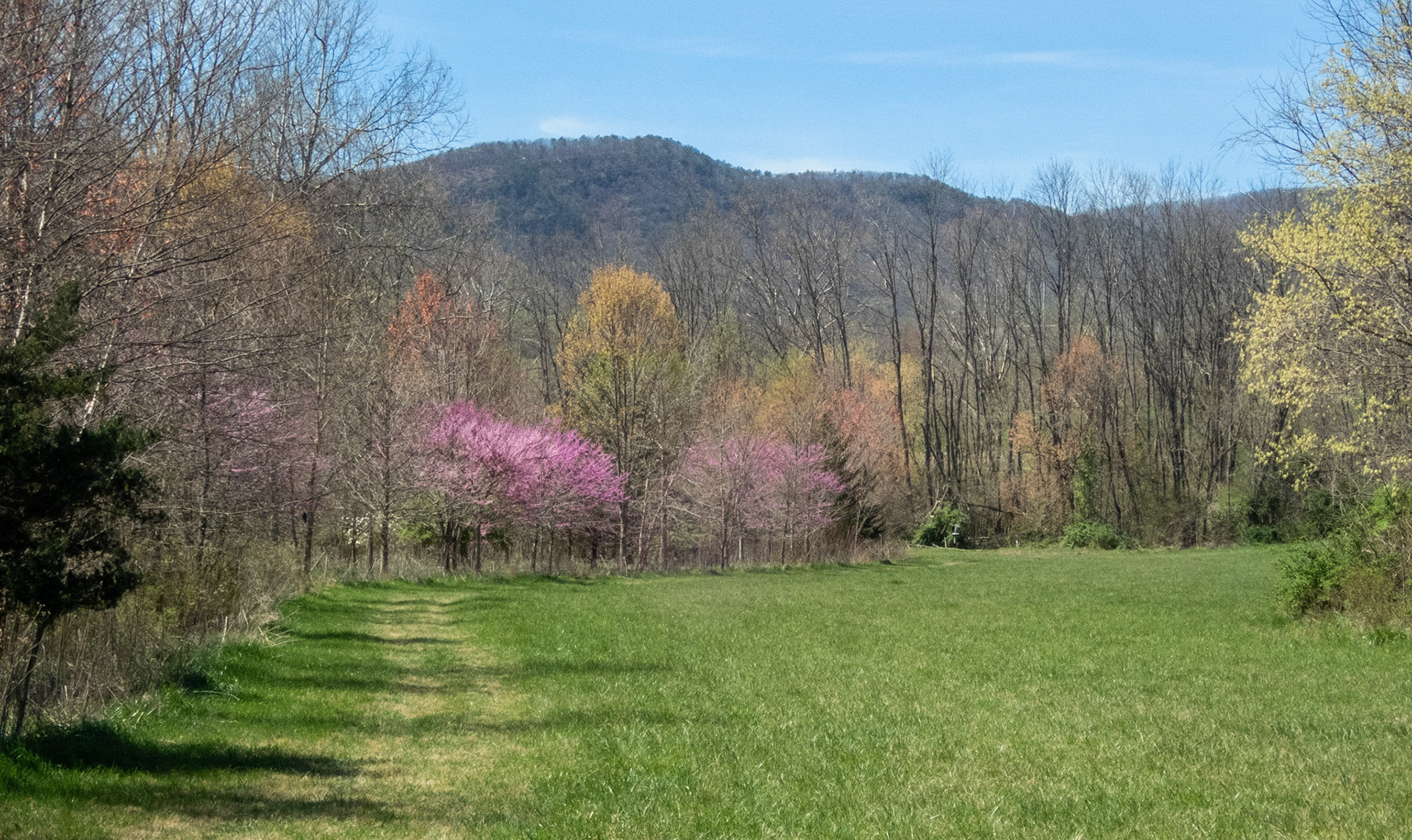 Greenfield Park, Botetourt County
