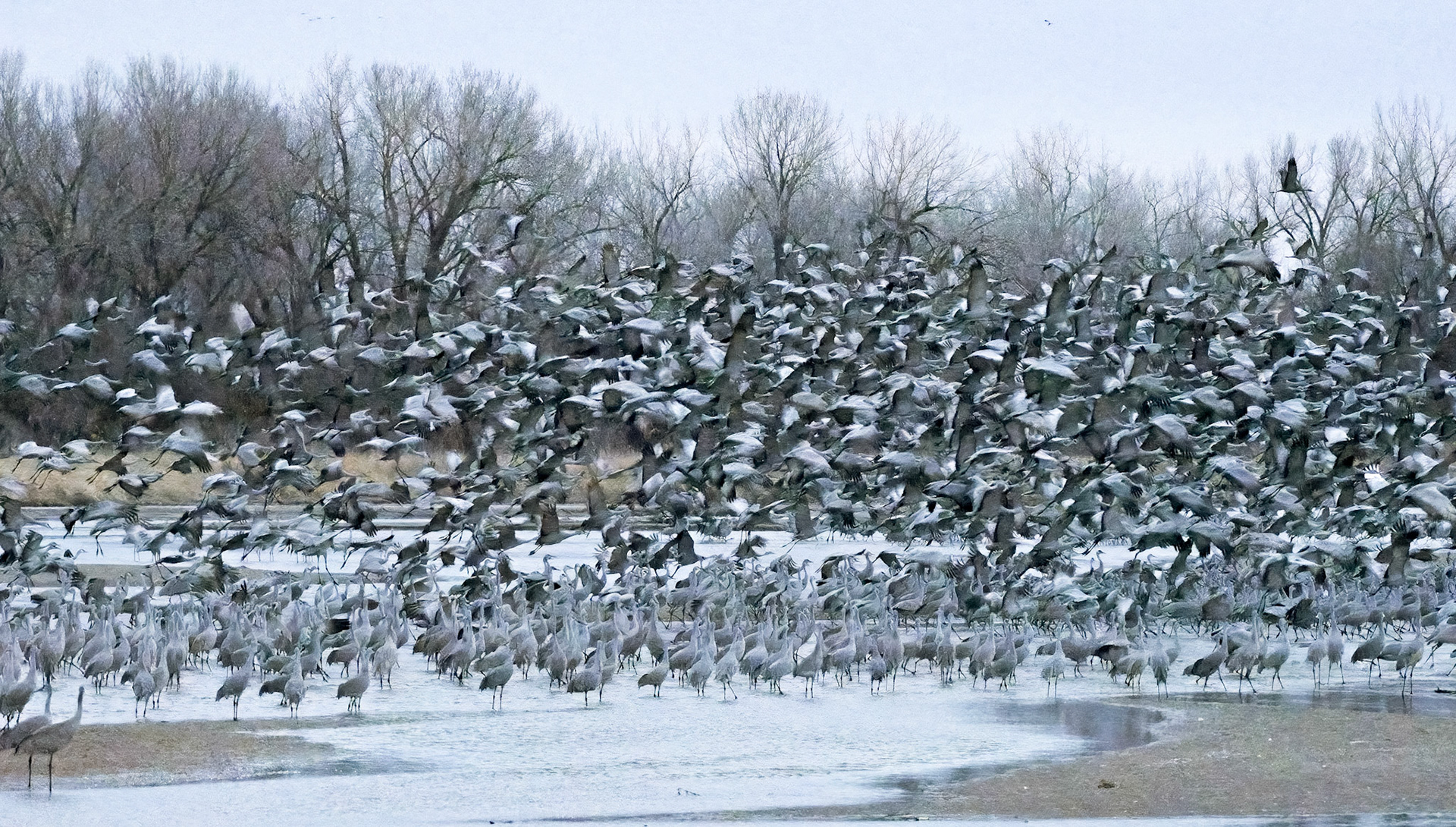 The Nature Conservancy blind along Platte River in NE.