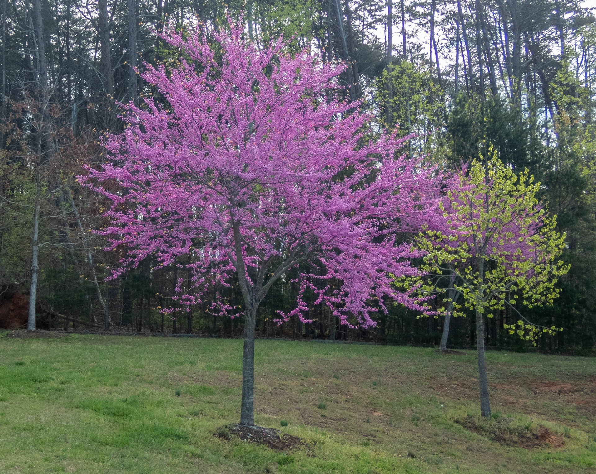 Smith Mountain Lake Community Park, Franklin County