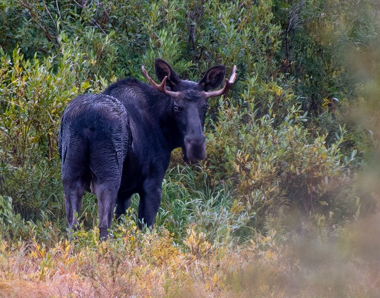 What, you making fun of my rack ?!?!?!