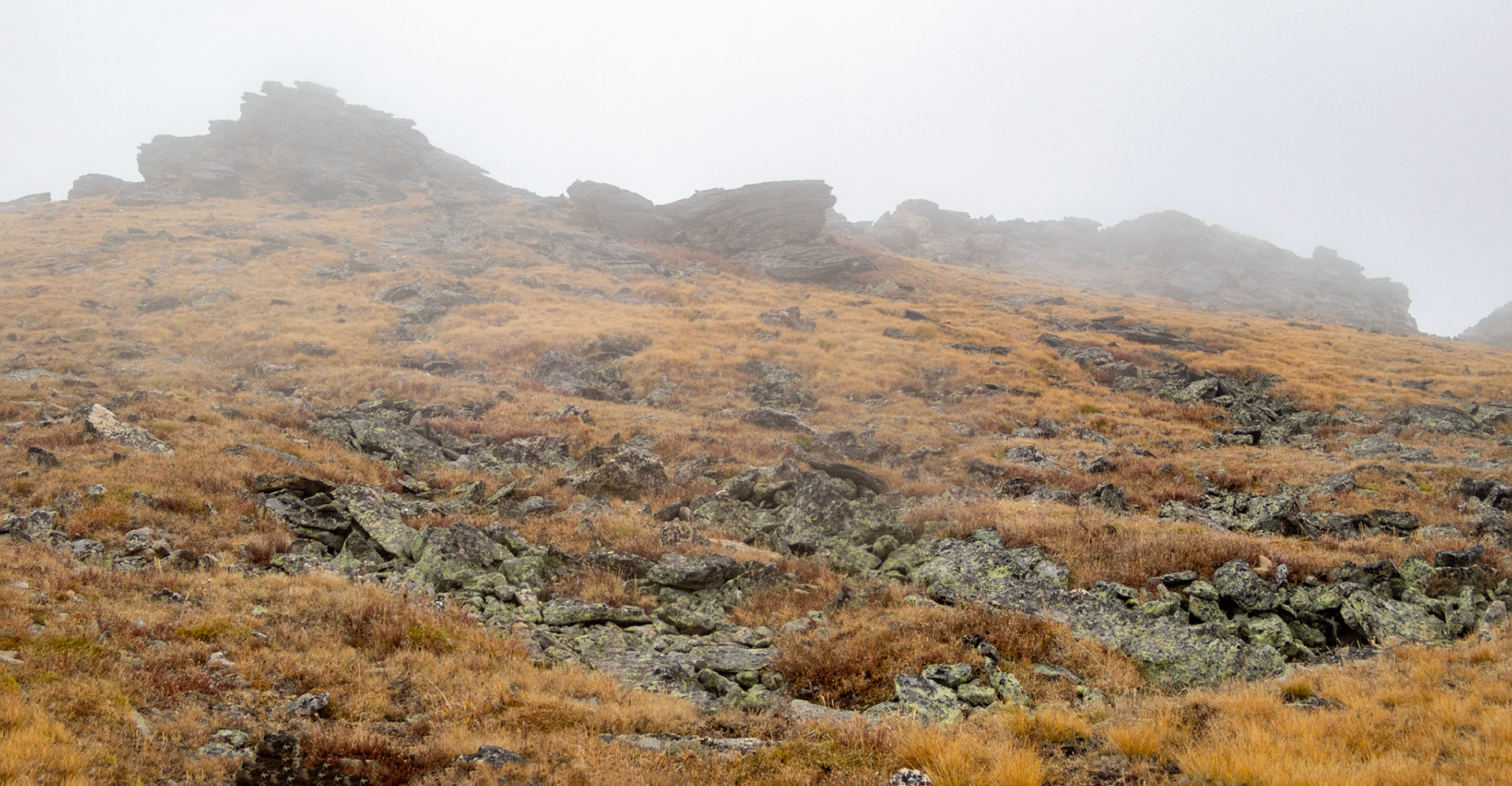 Rock Cut Overlook on Trail Ridge Road