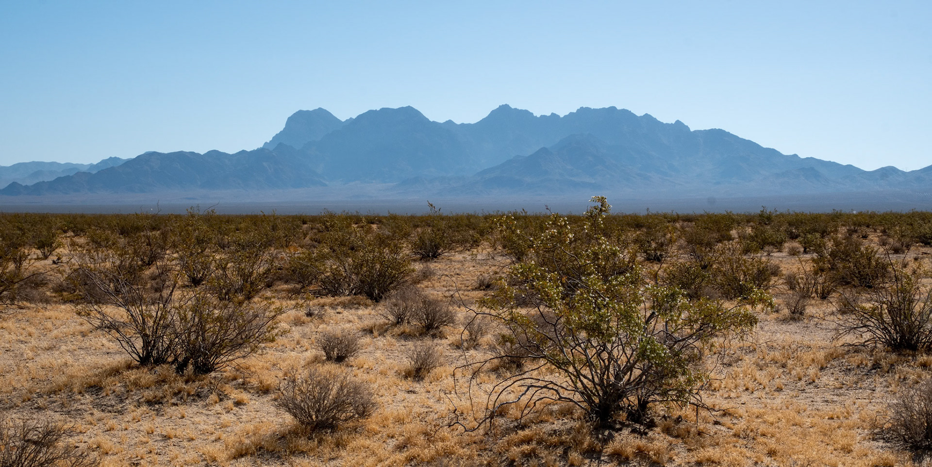 Mojave National Preserve