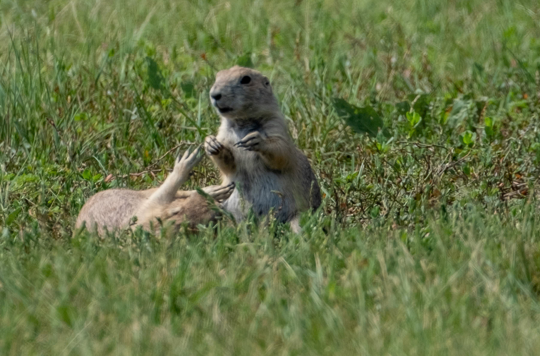 is Mom calling?