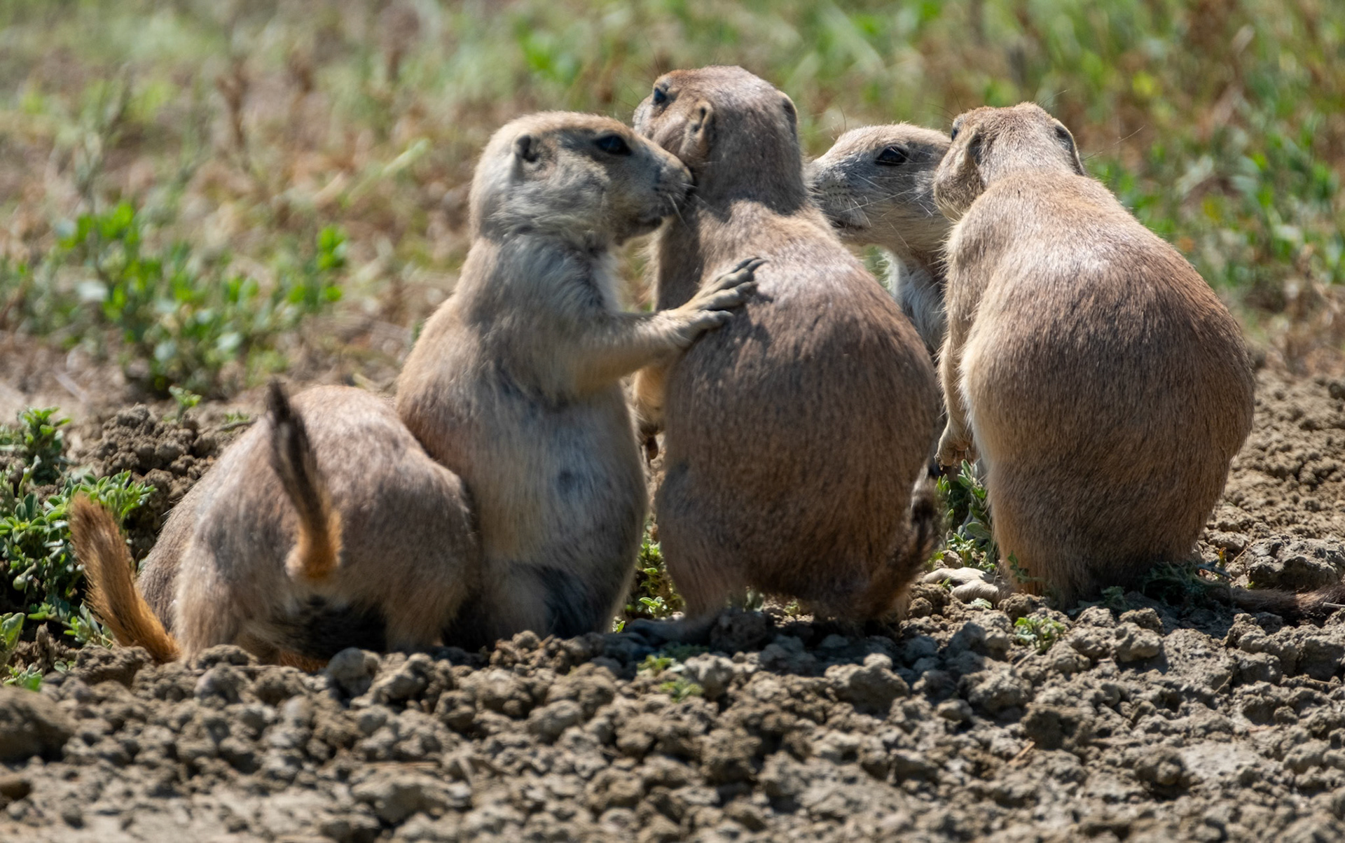 the meeting is now called to order