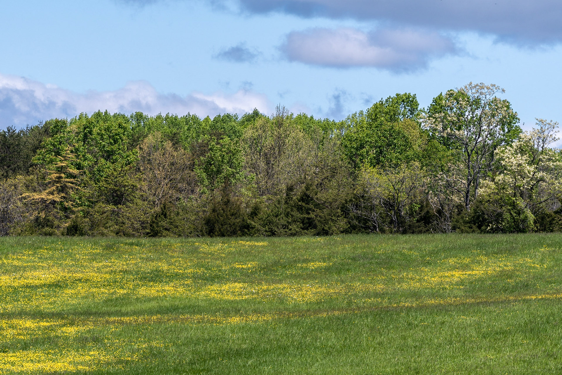 Greenfield Park, Botetourt County