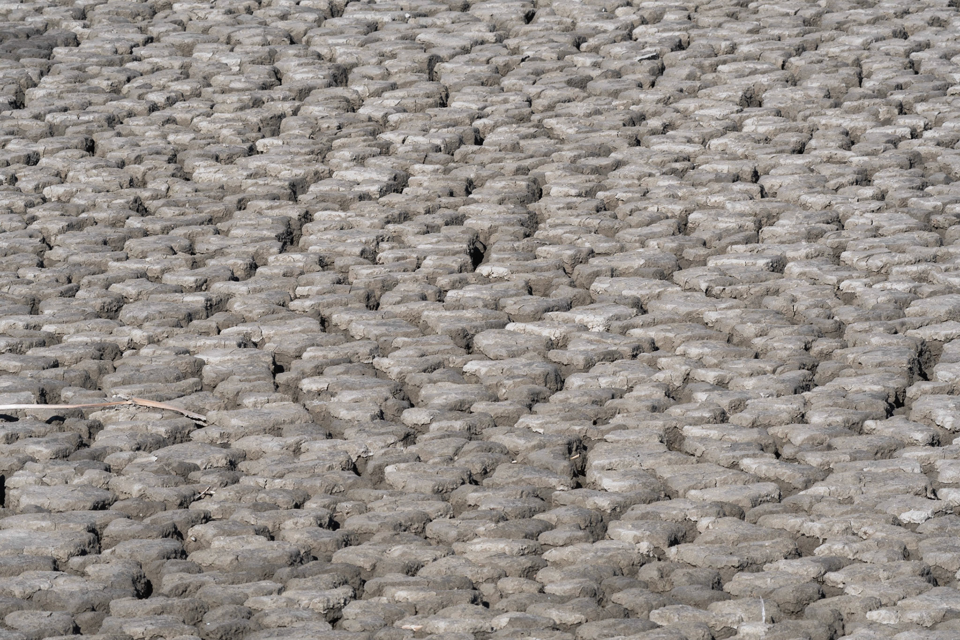 Low water conditions on the Refuge