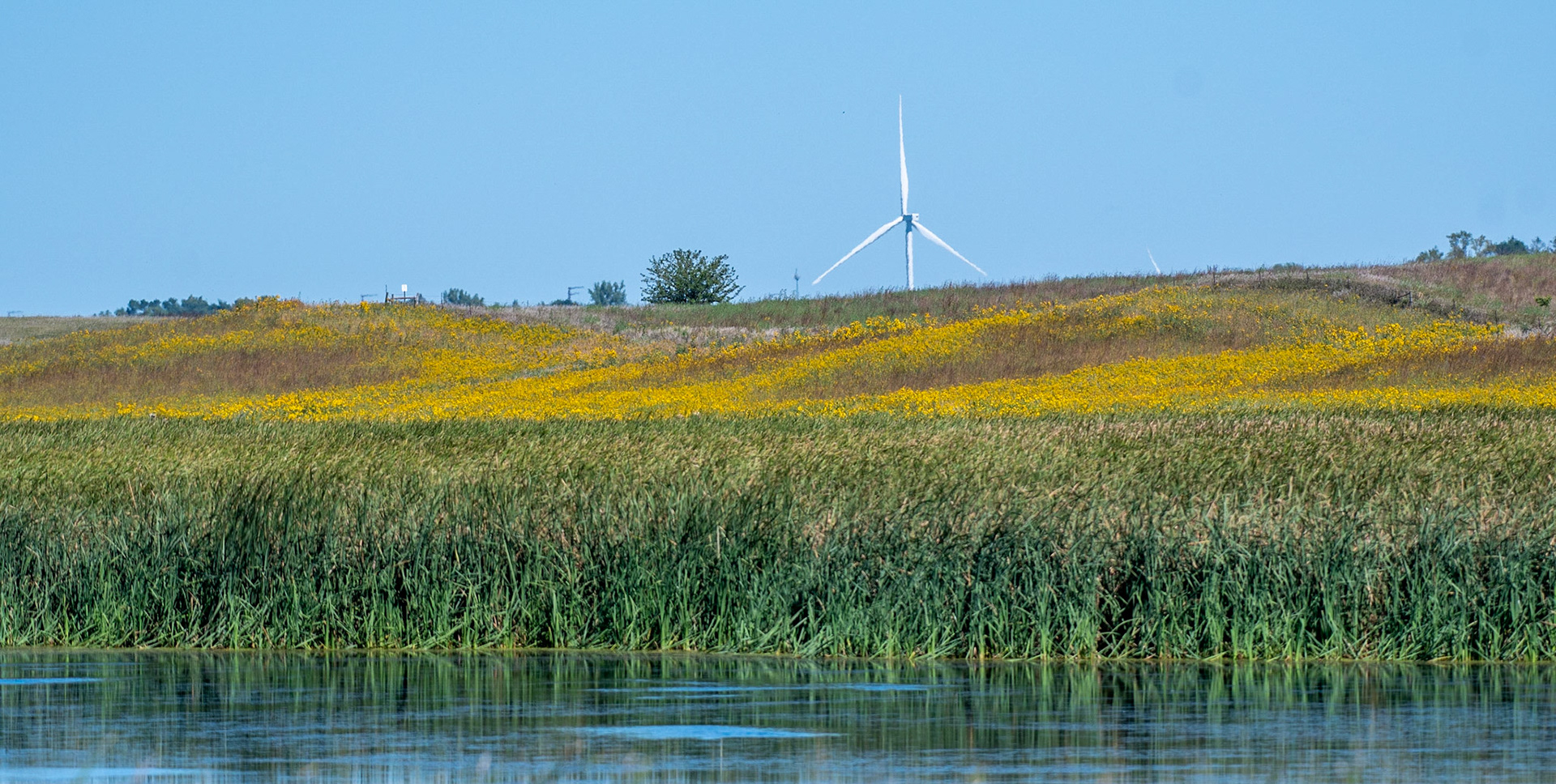 Union Slough NWR, IA