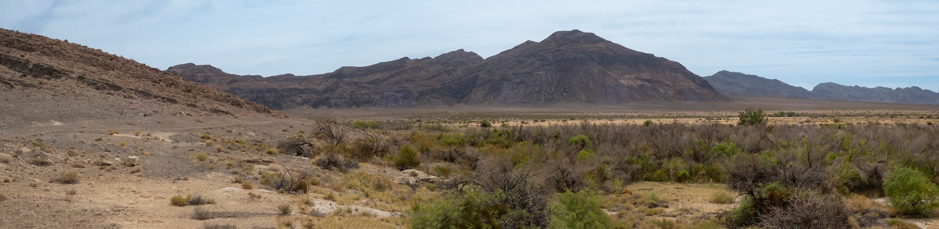 Ash Meadows NWR