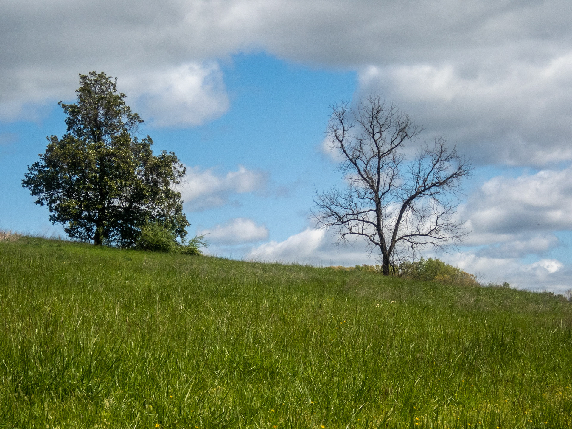 Greenfield Park, Botetourt County