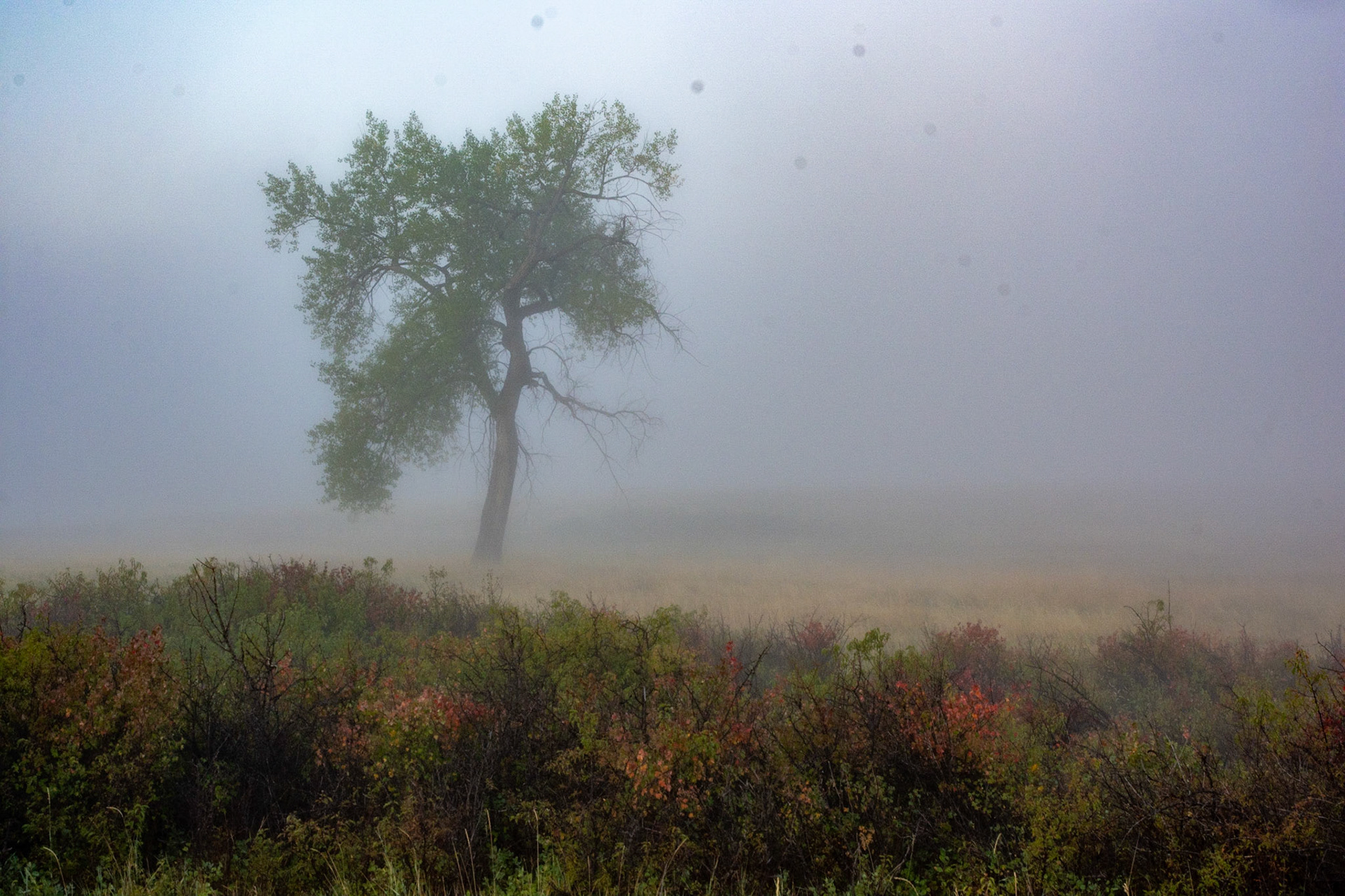 Fisherman Flats Road