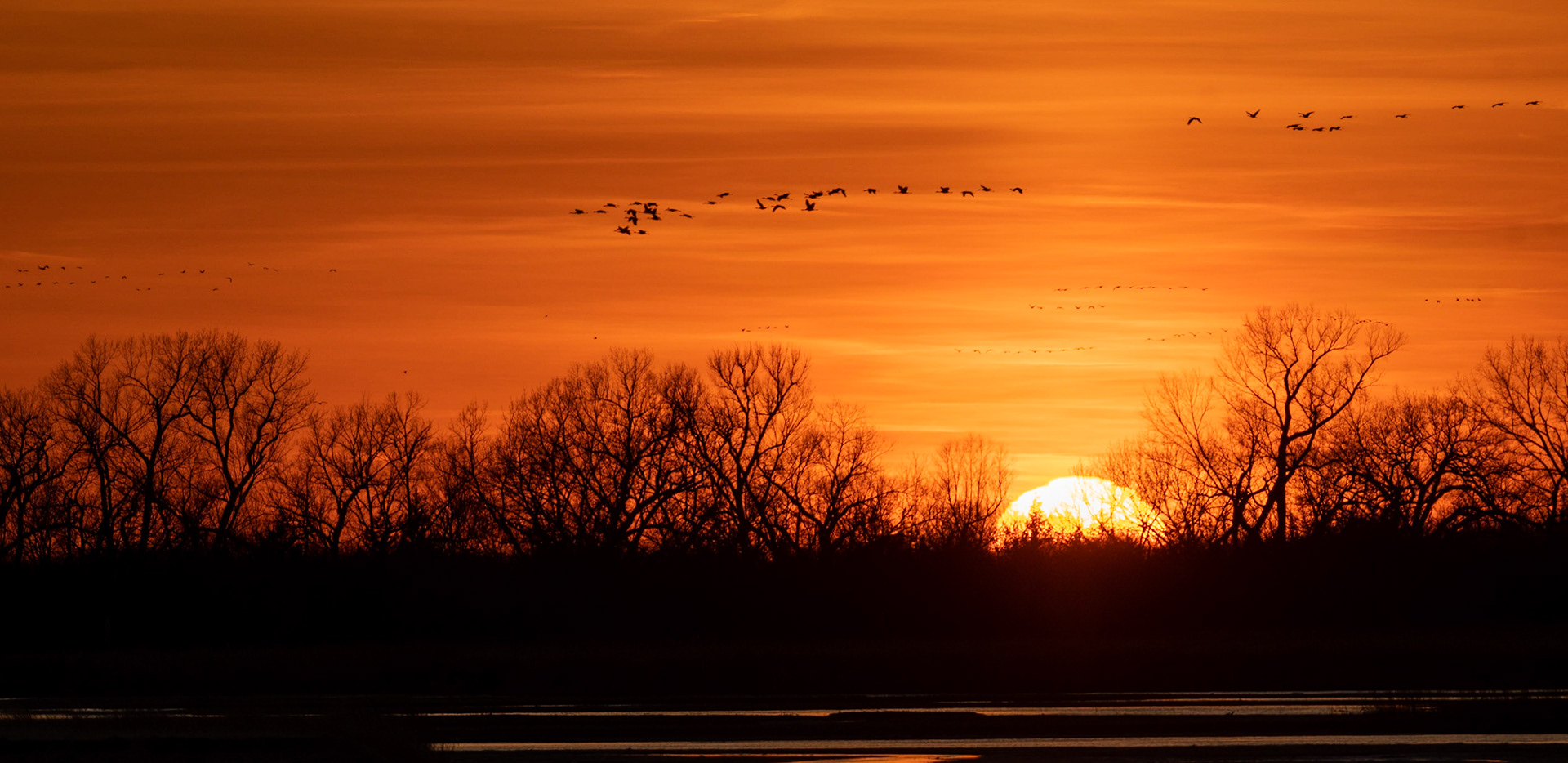 Sunset, Platte River and Sandhill Cranes
