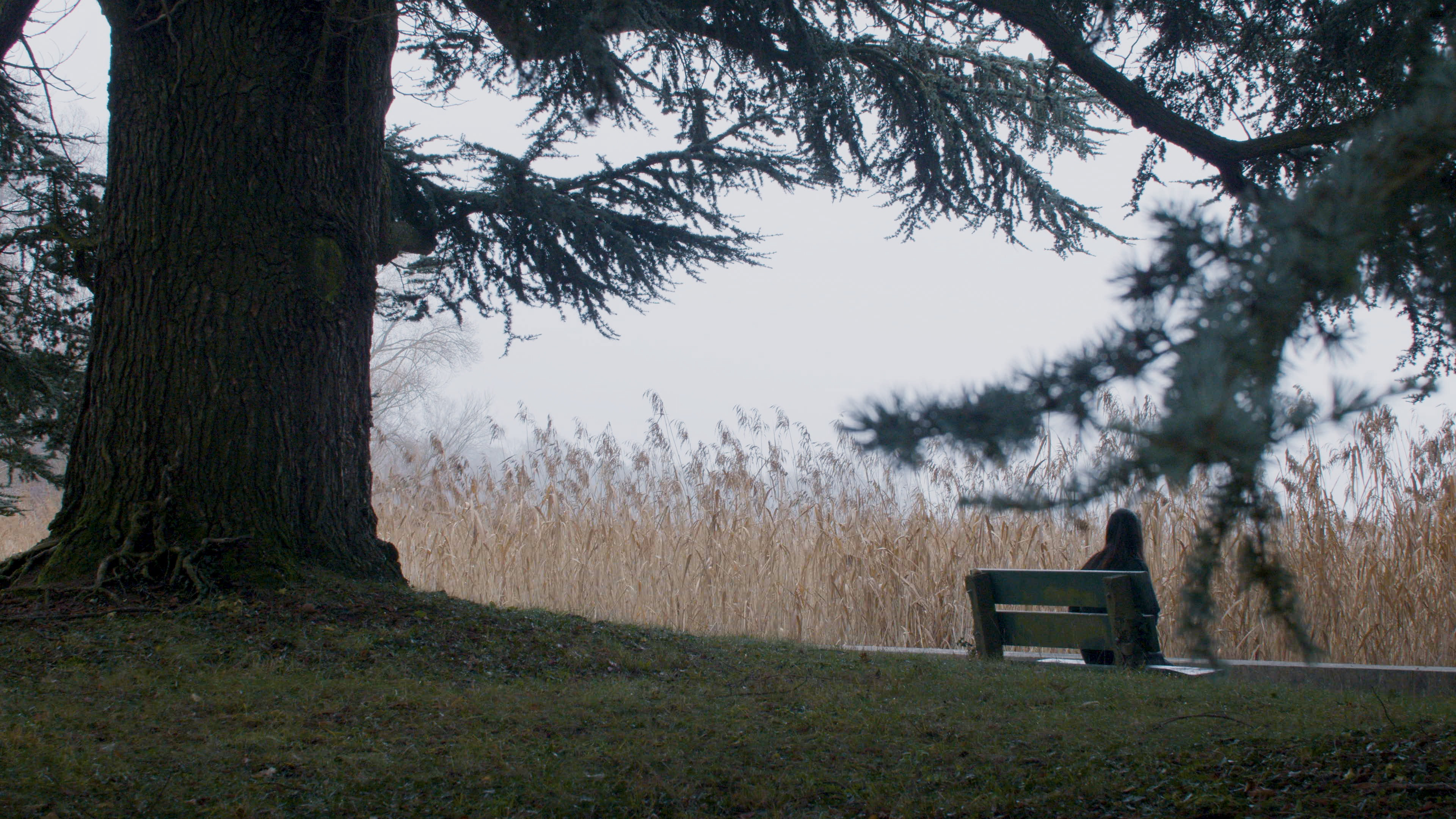 Centre Neuchâtelois de Psychiatrie