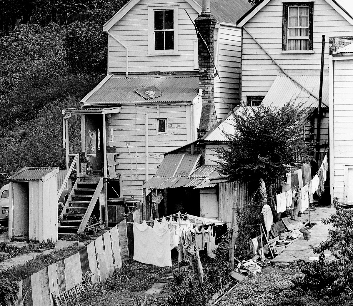 Ponsonby backyard #2