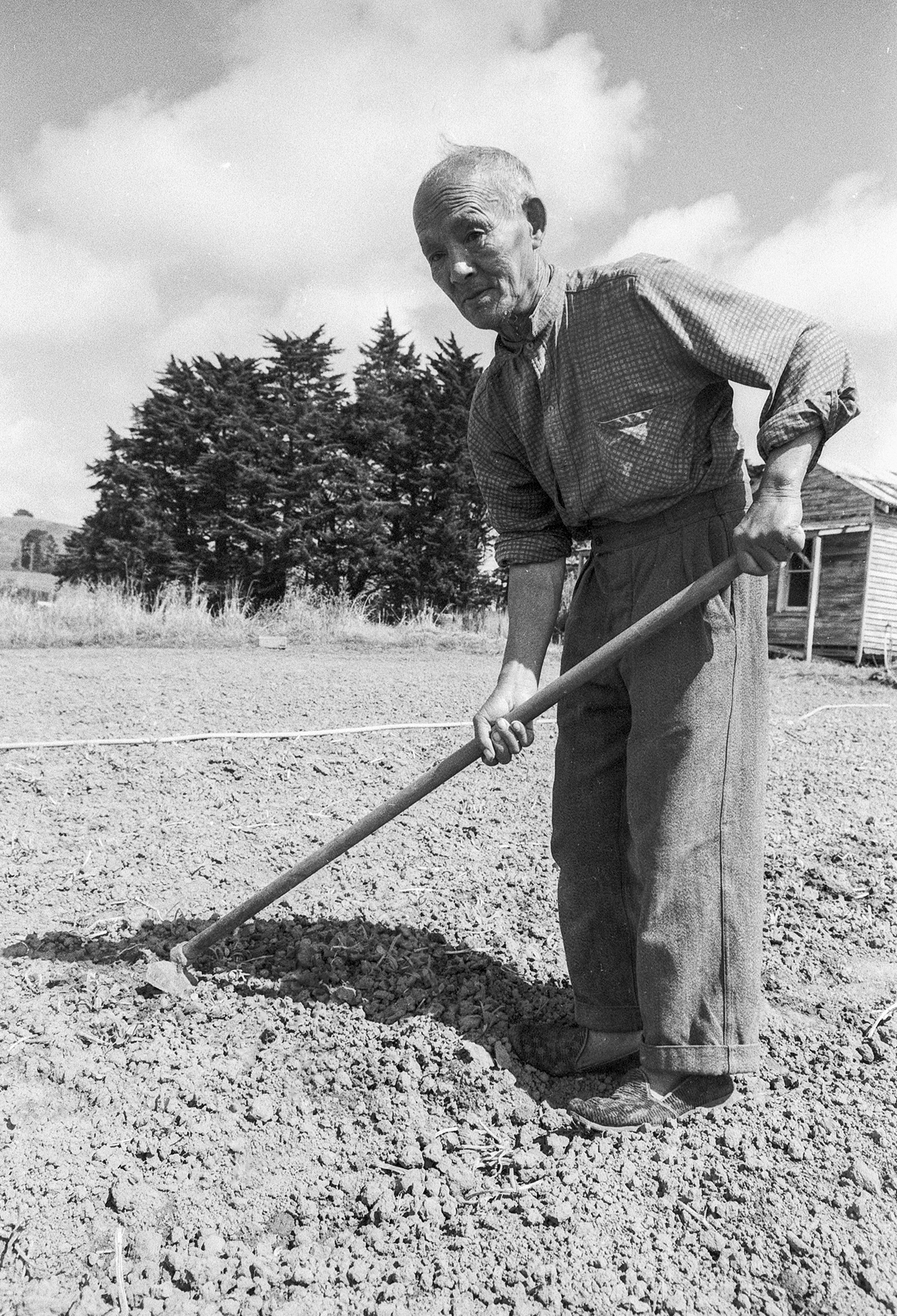 Glen Innes market garden #4