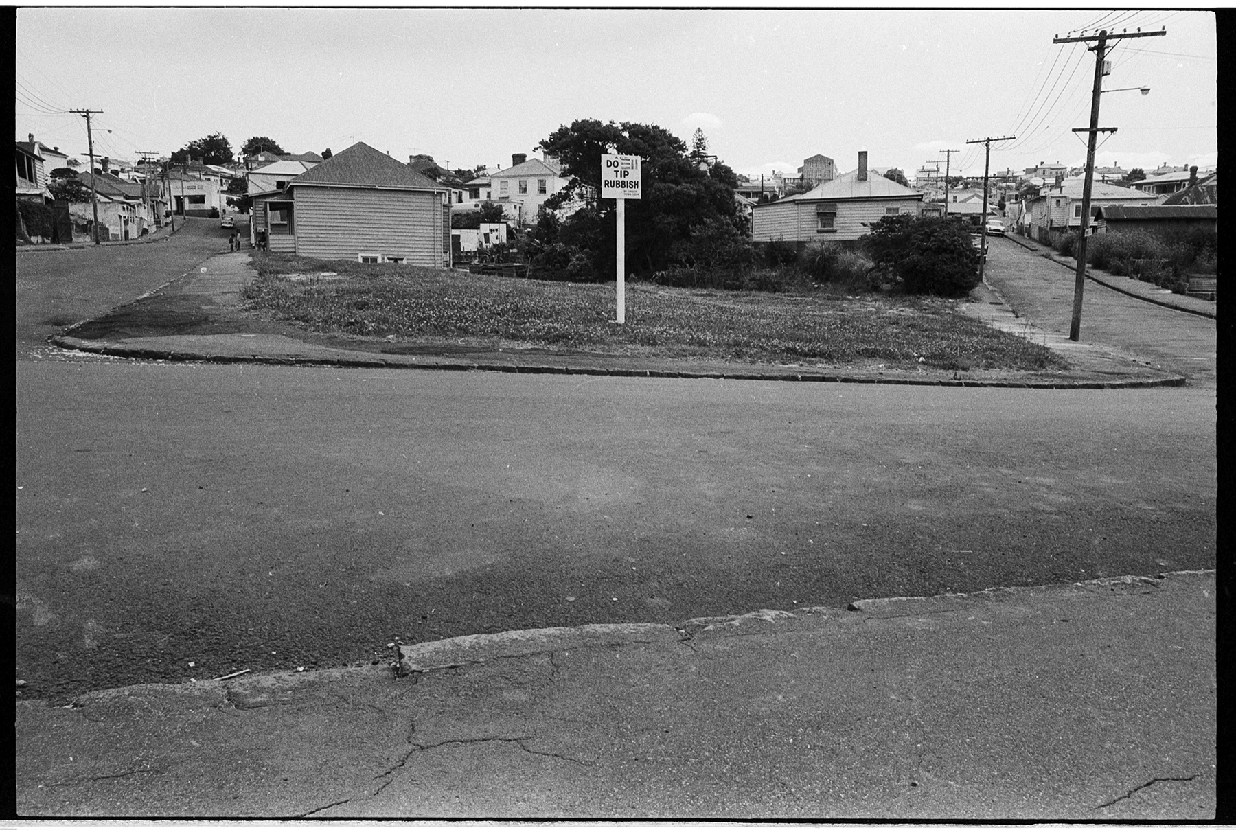 Freemans Bay #5