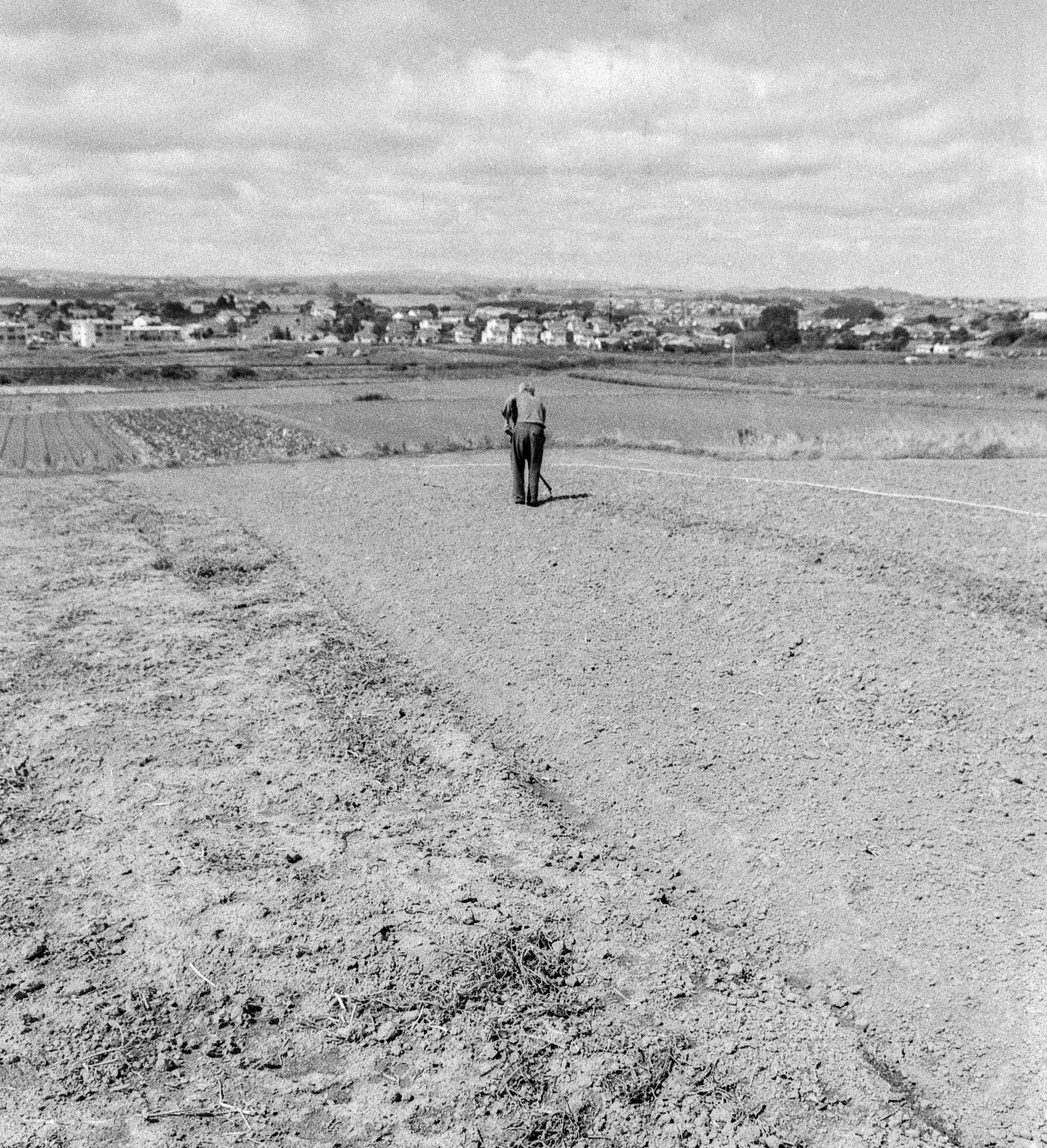 Glen Innes market garden #3