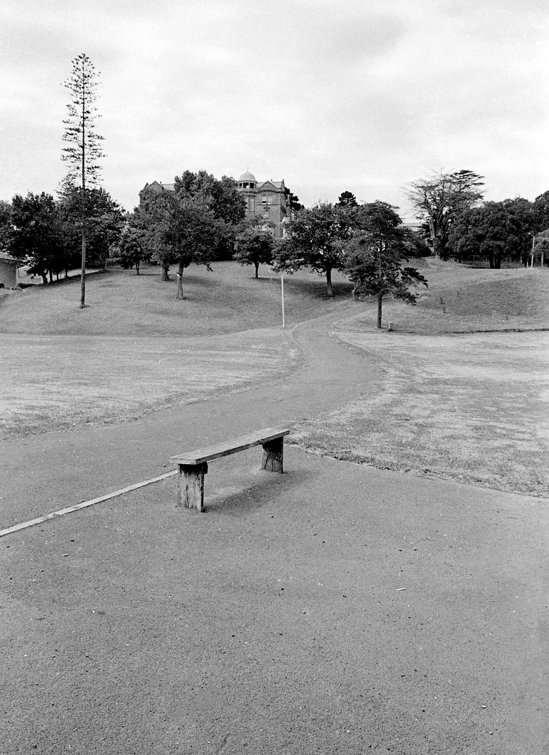 Western Park