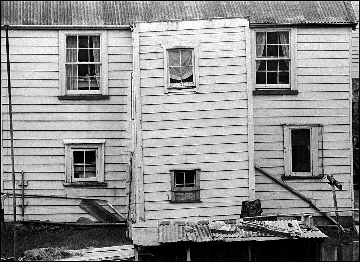 Ponsonby backyard #1