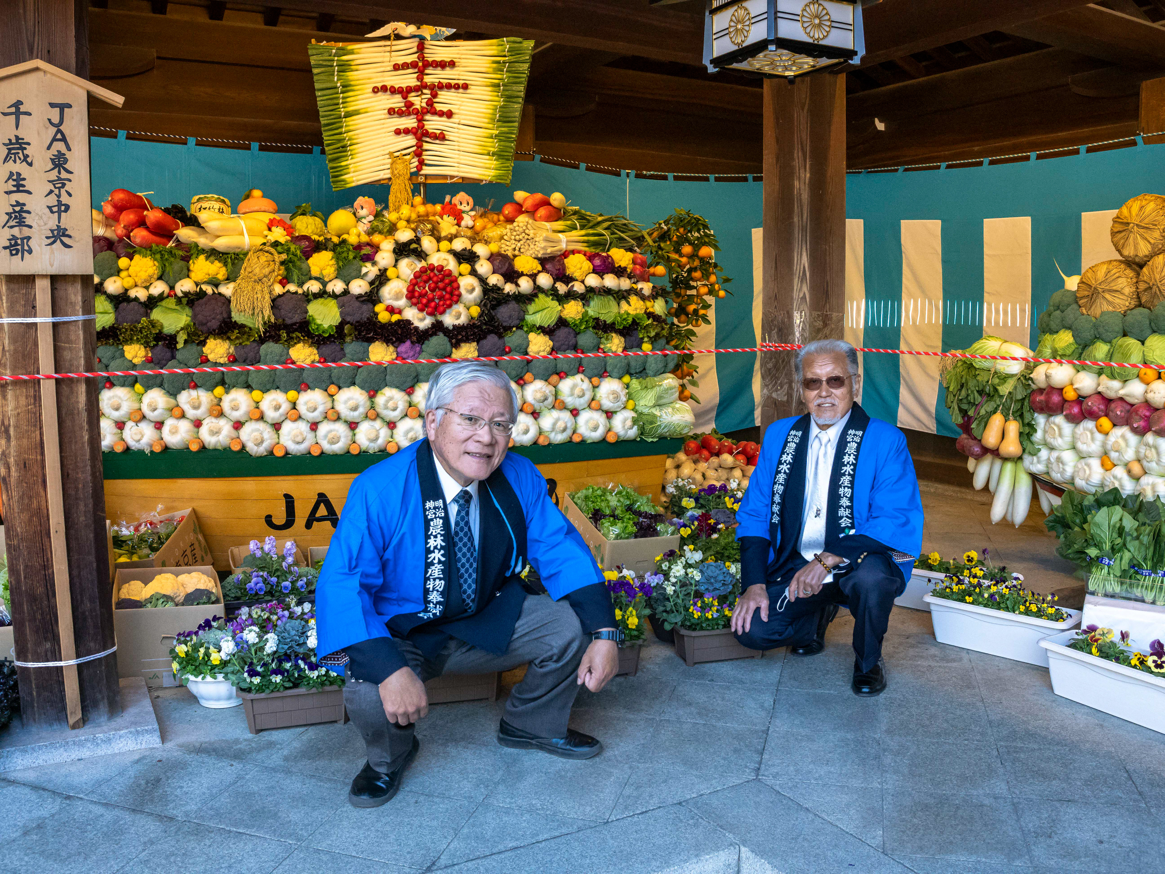 Meiji Shrine, Tokyo