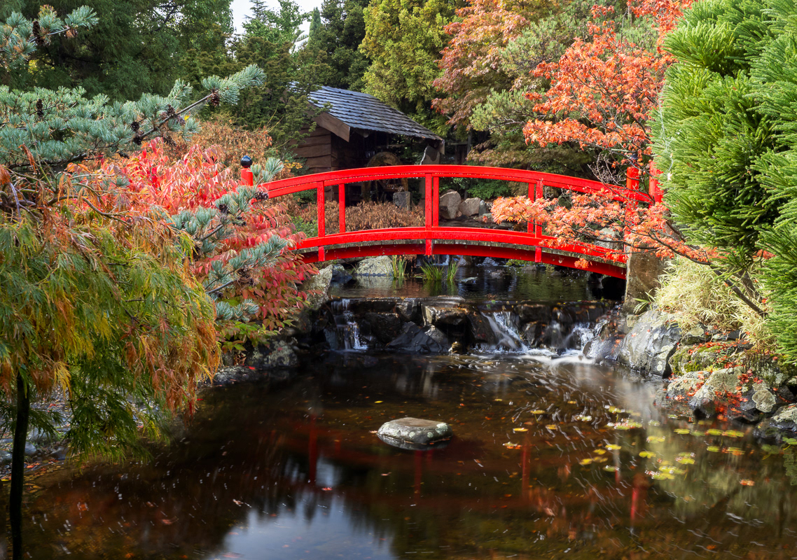 Japanese garden, Hobart Botanic Garden