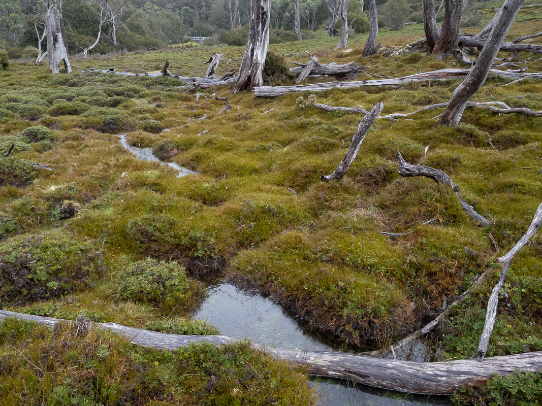 Cradle Mountain