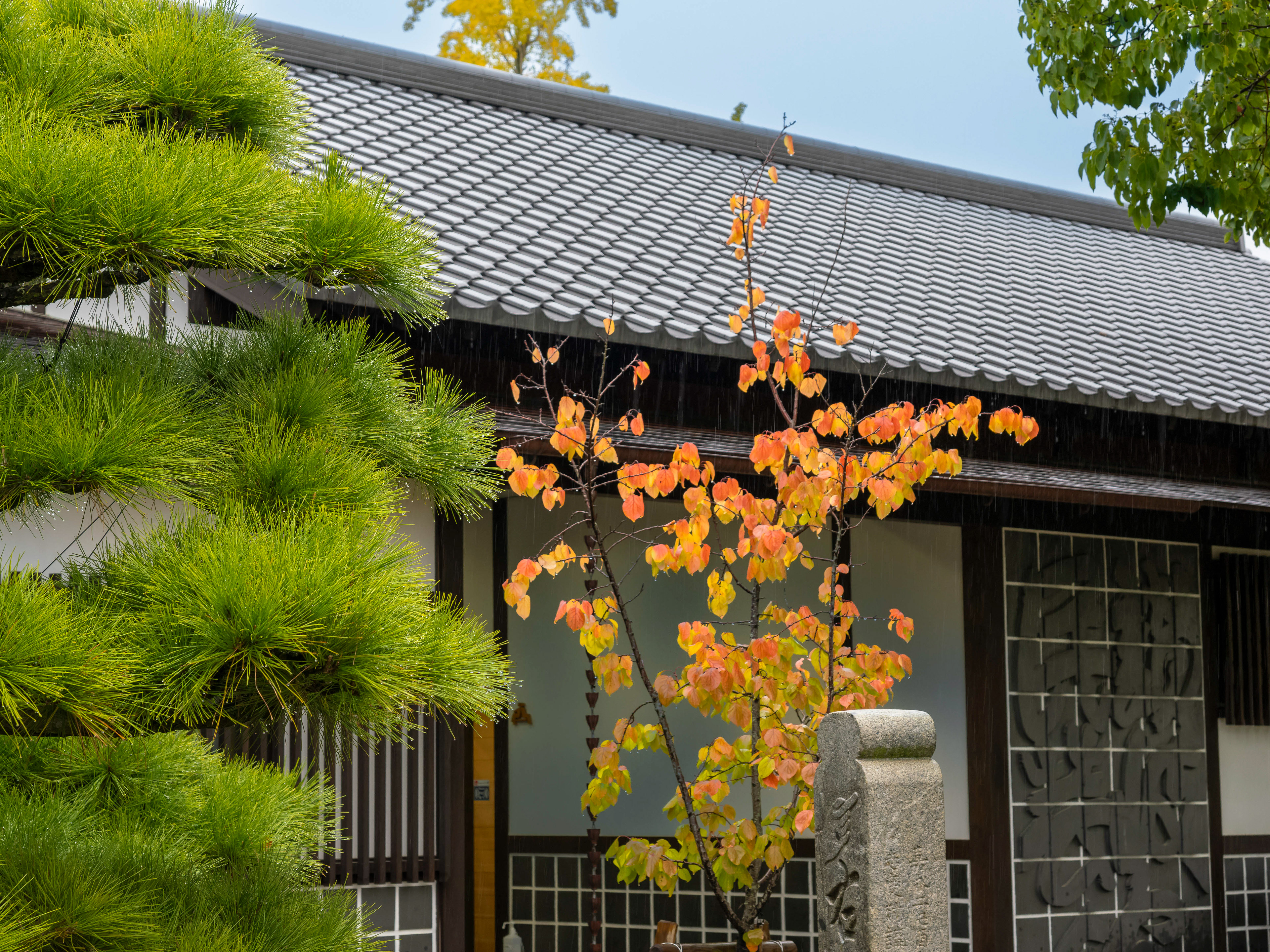 Ritsurin Garden, Takamatsu