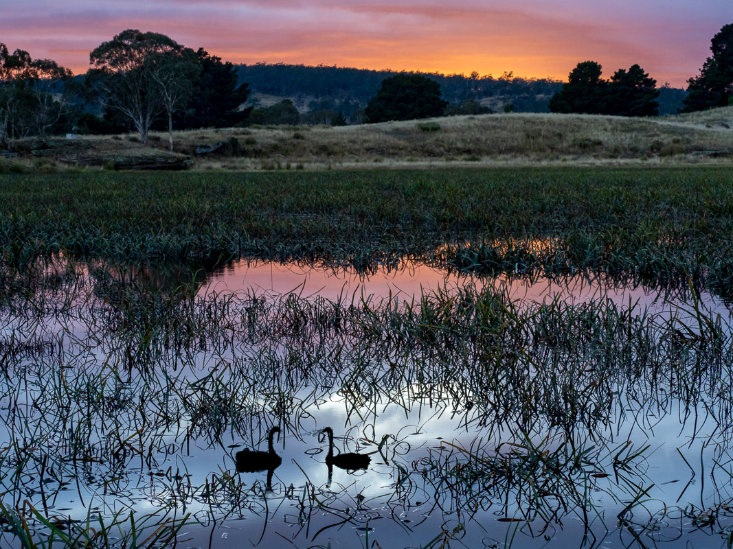 Lake Dulverton, Oatlands