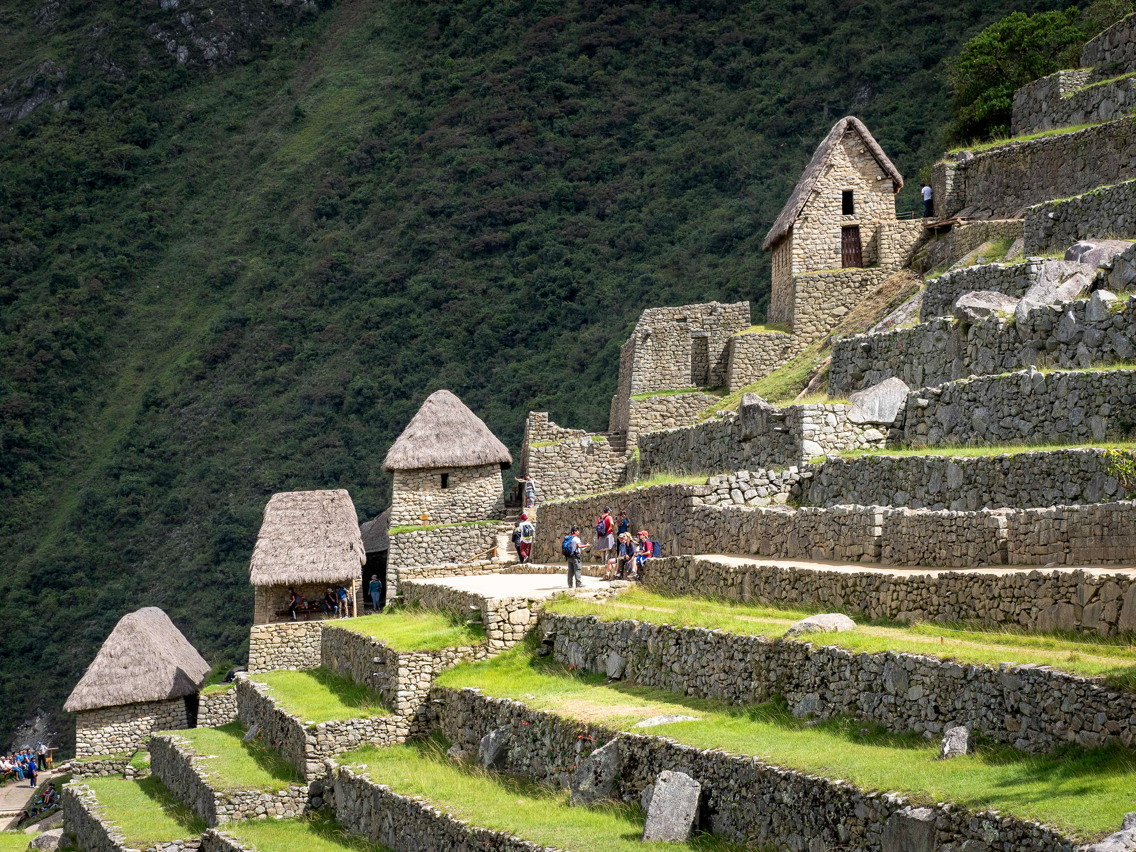 Terraces of Machu Picchu, previously vegetable gardens
