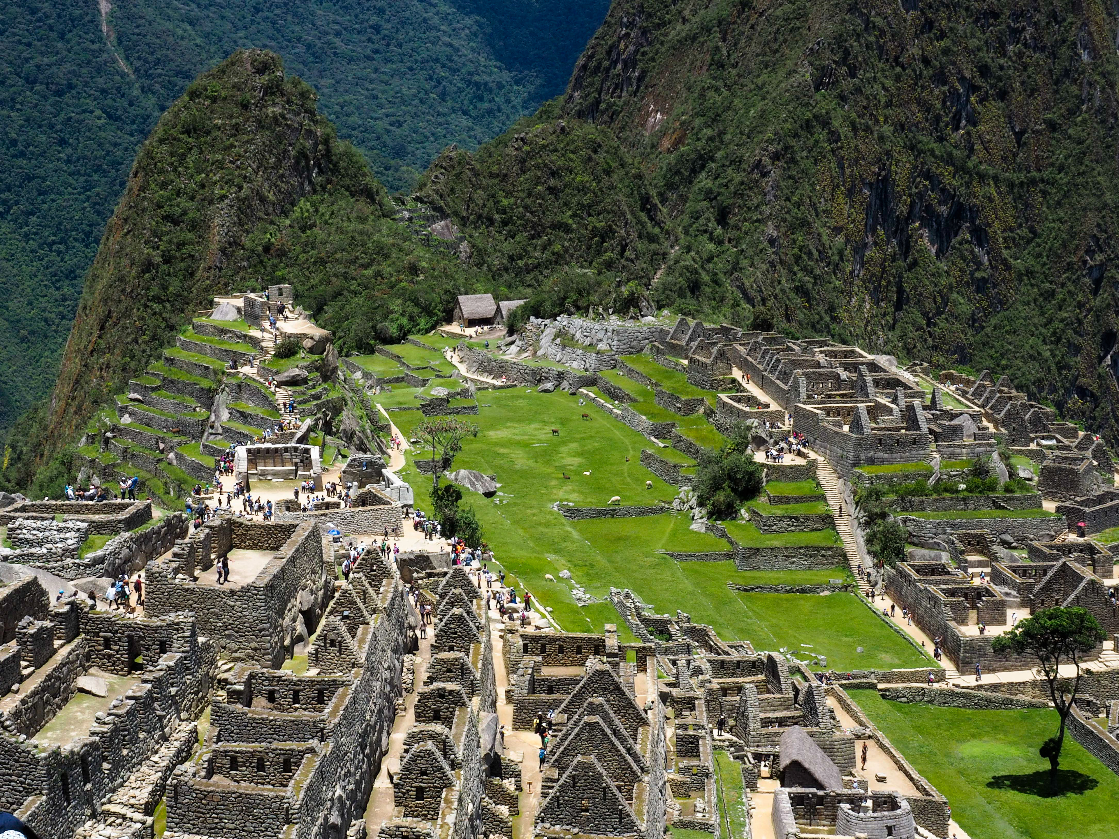 Machu Picchu