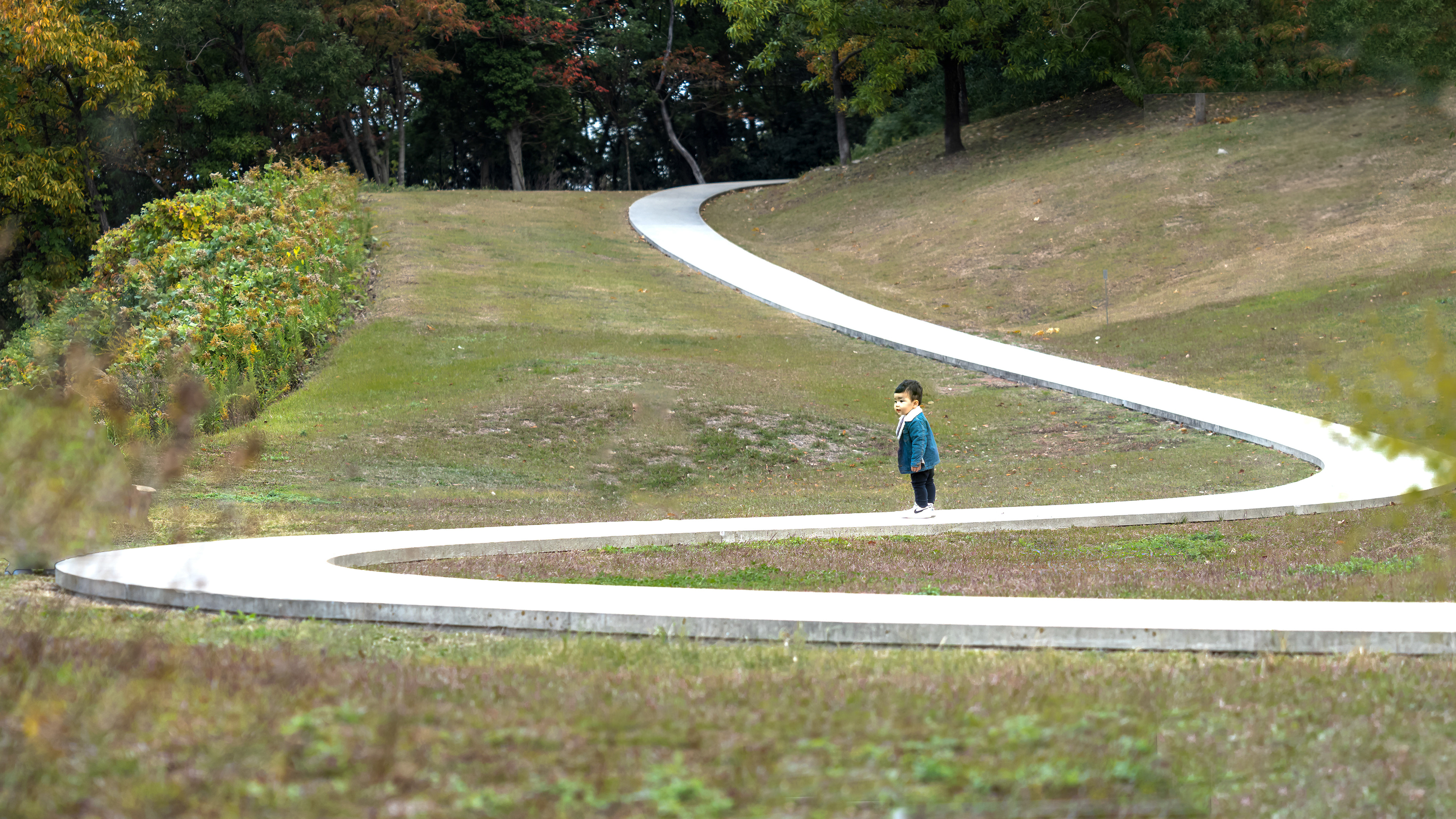 Teshima Art Museum