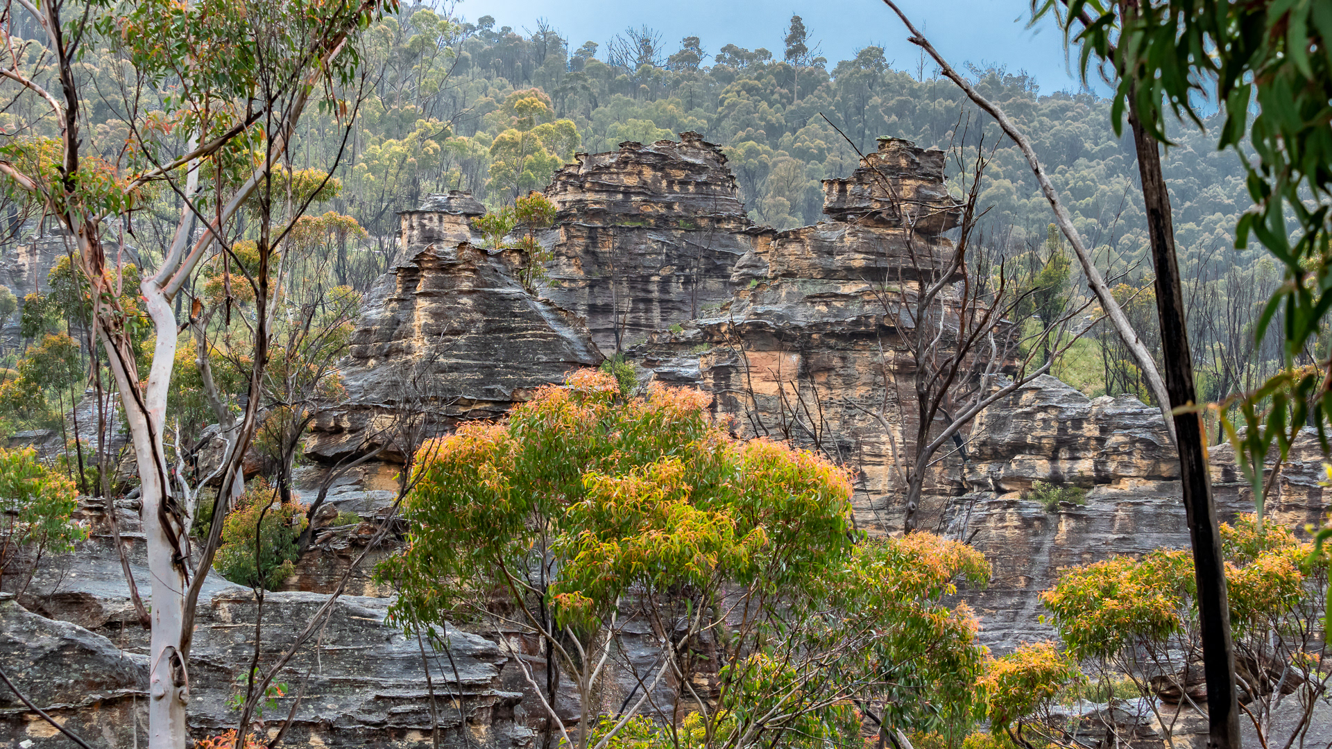 Gardens of Stone, NSW