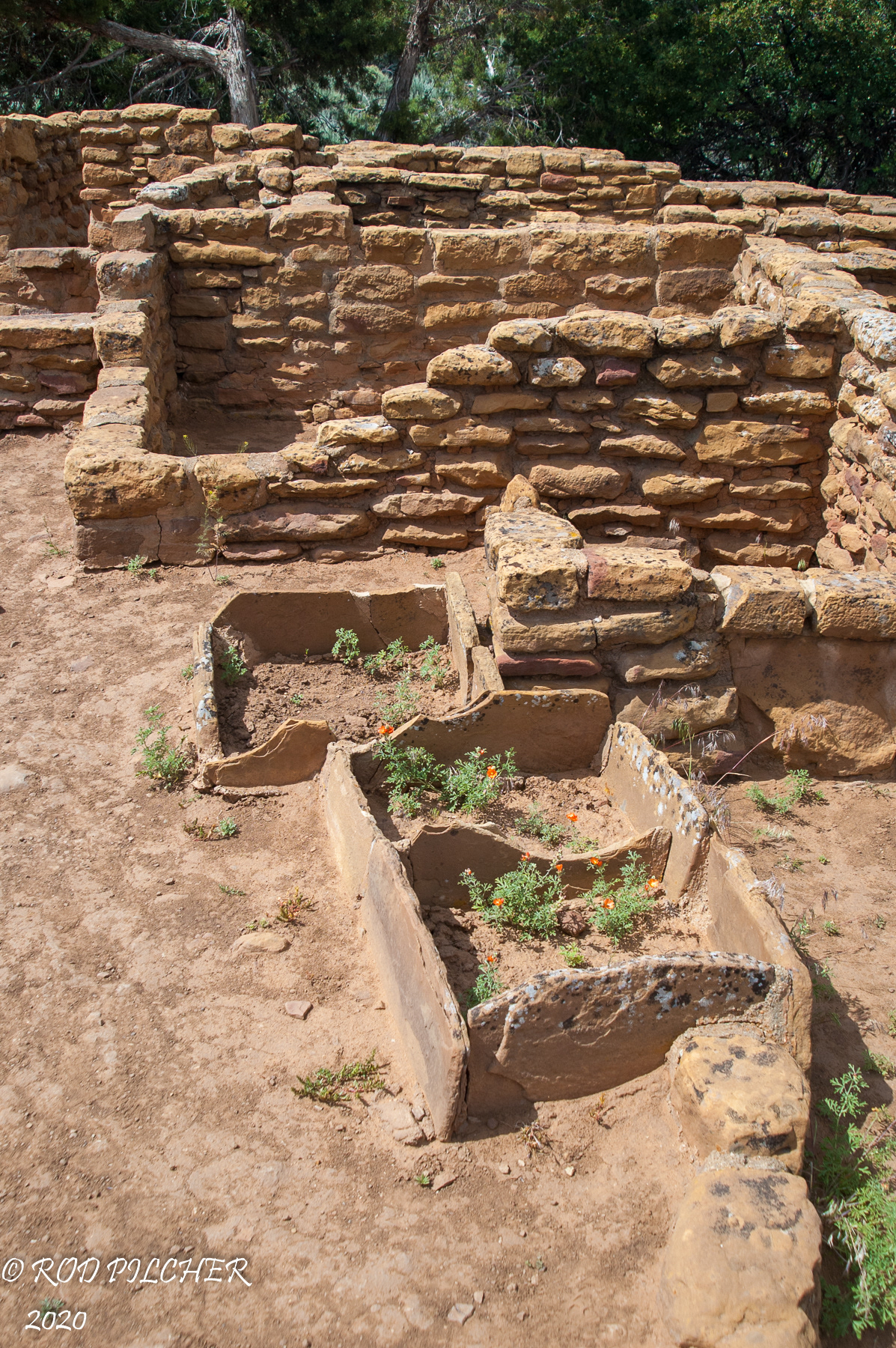 Mesa Verde National Monument
