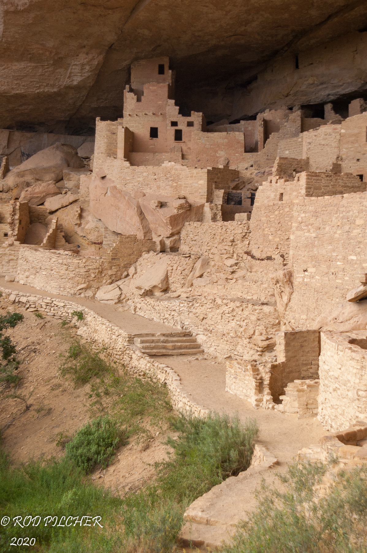 Cliff Palace, Mesa Verde National Monument