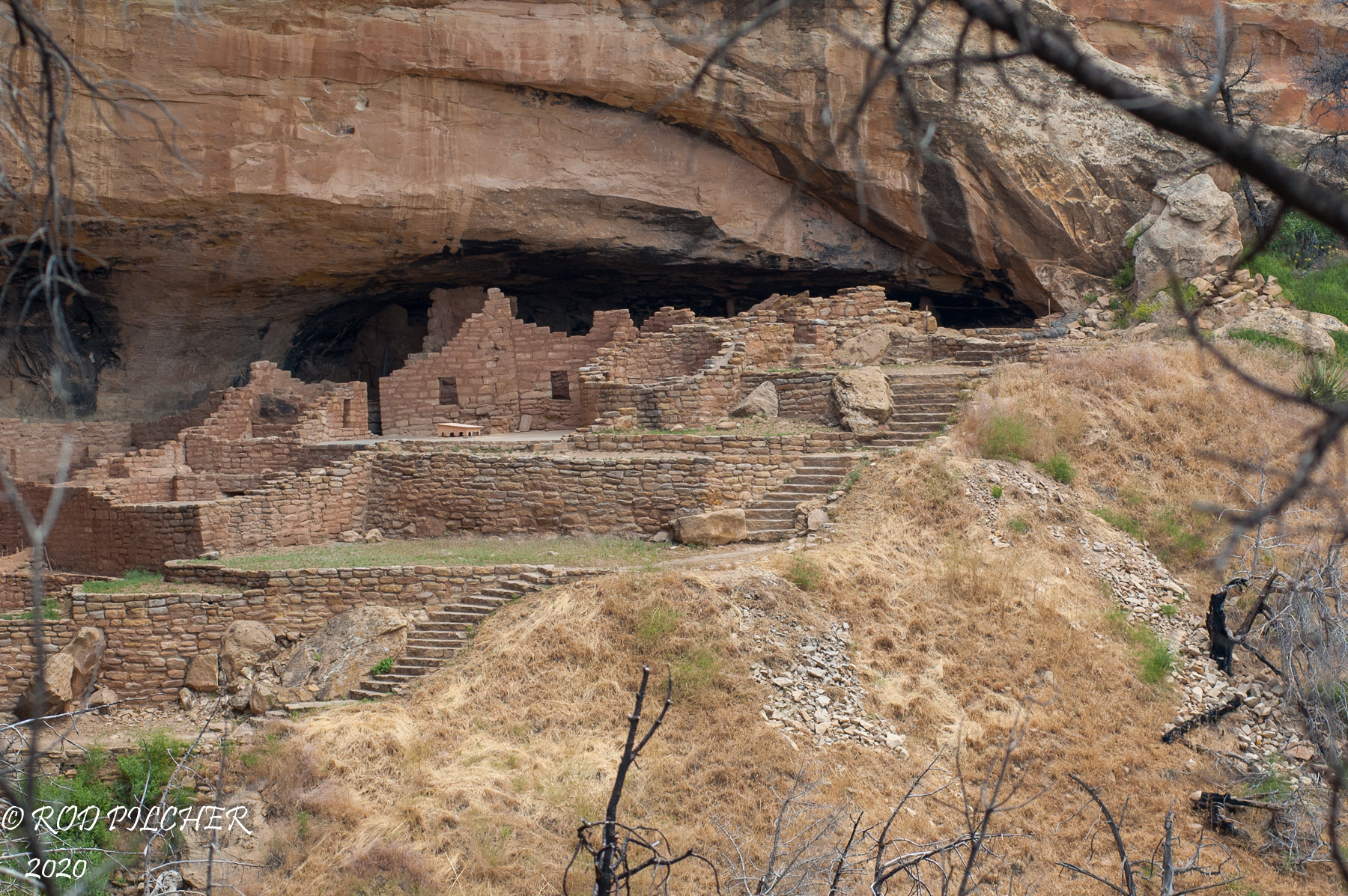 Long House, Mesa Verde National Monument