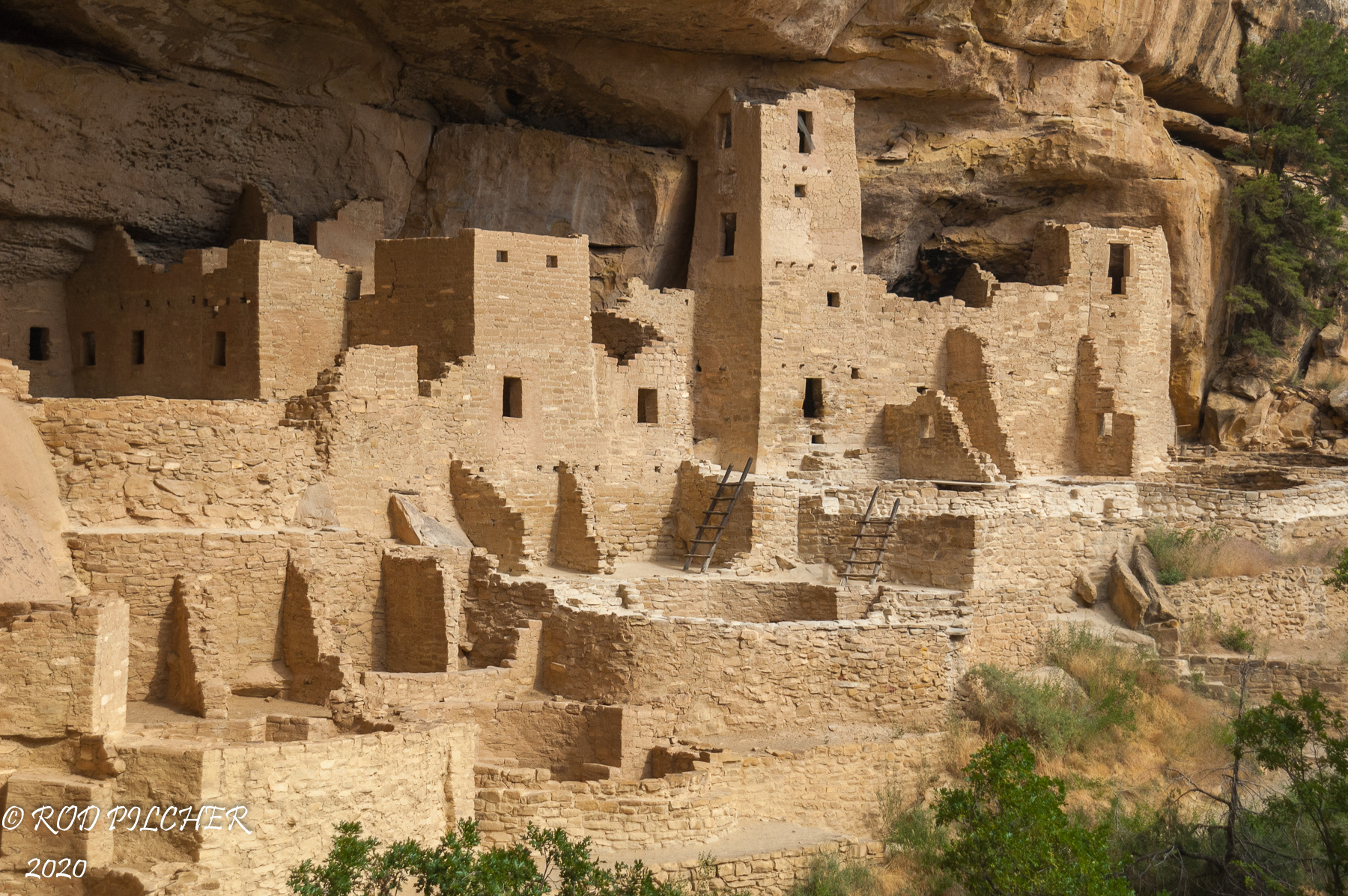 Cliff Palace, Mesa Verde National Monument