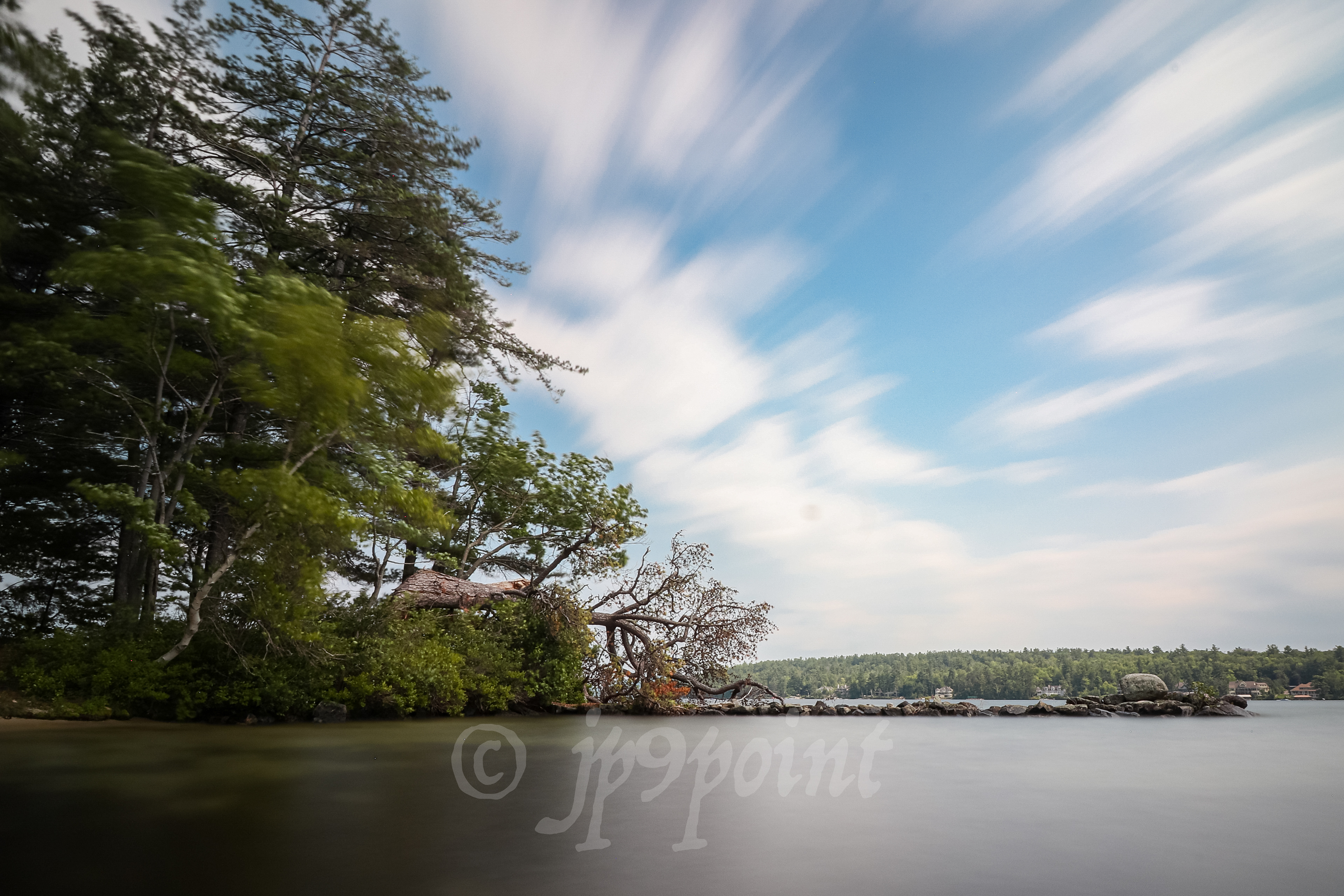 Fallen tree under the cloud streaks of Stonedam Island, New Hampshire.