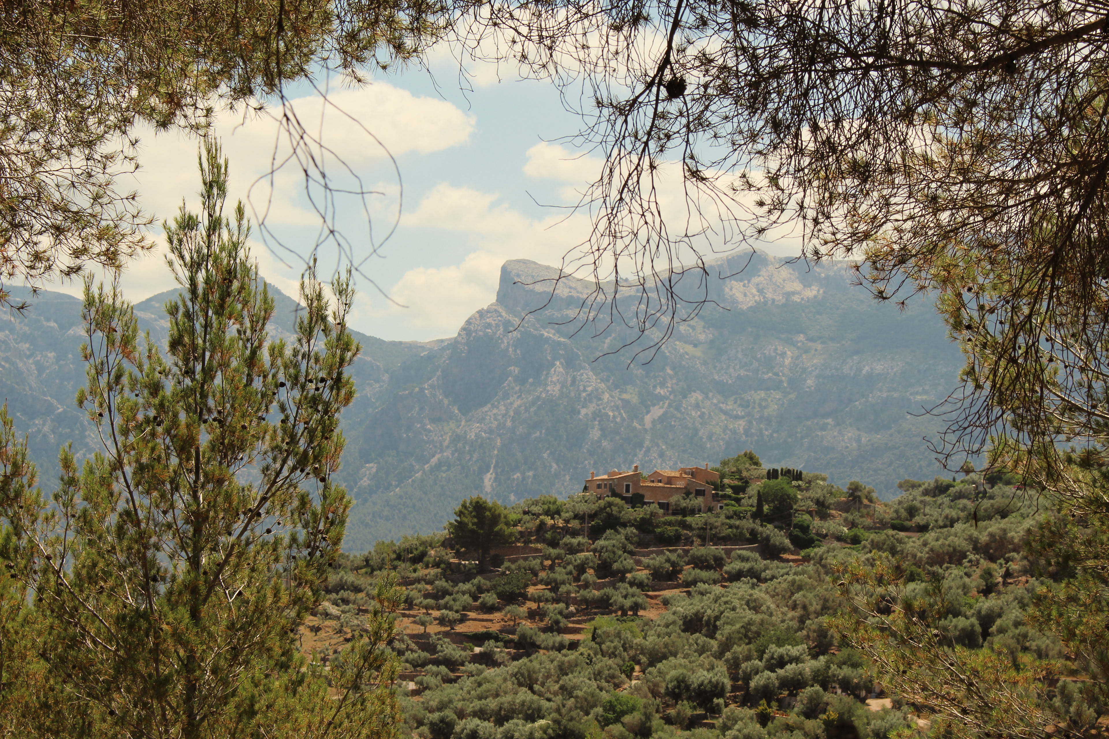 SPAIN, CANON DIGITAL