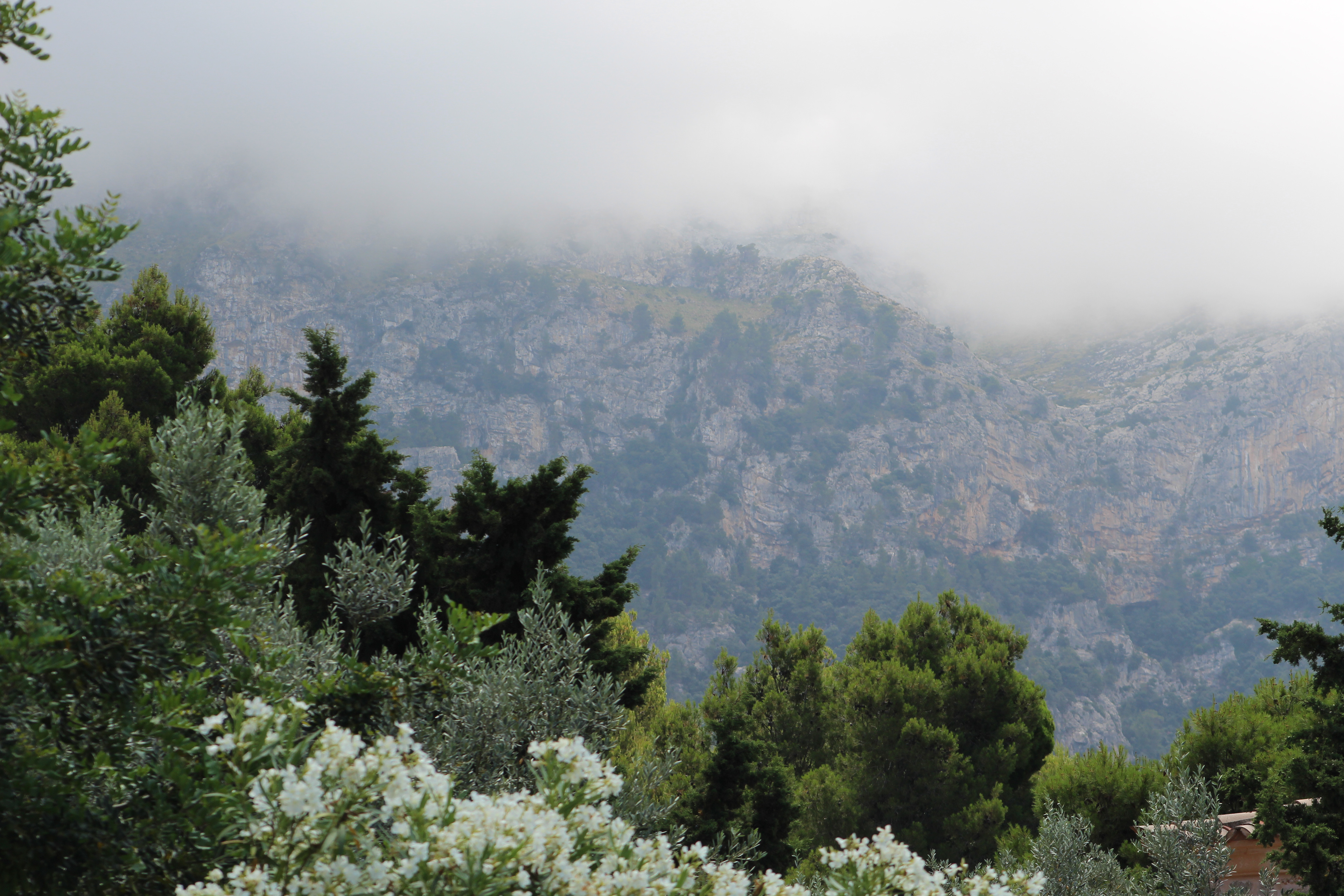 SPAIN, CANON DIGITAL