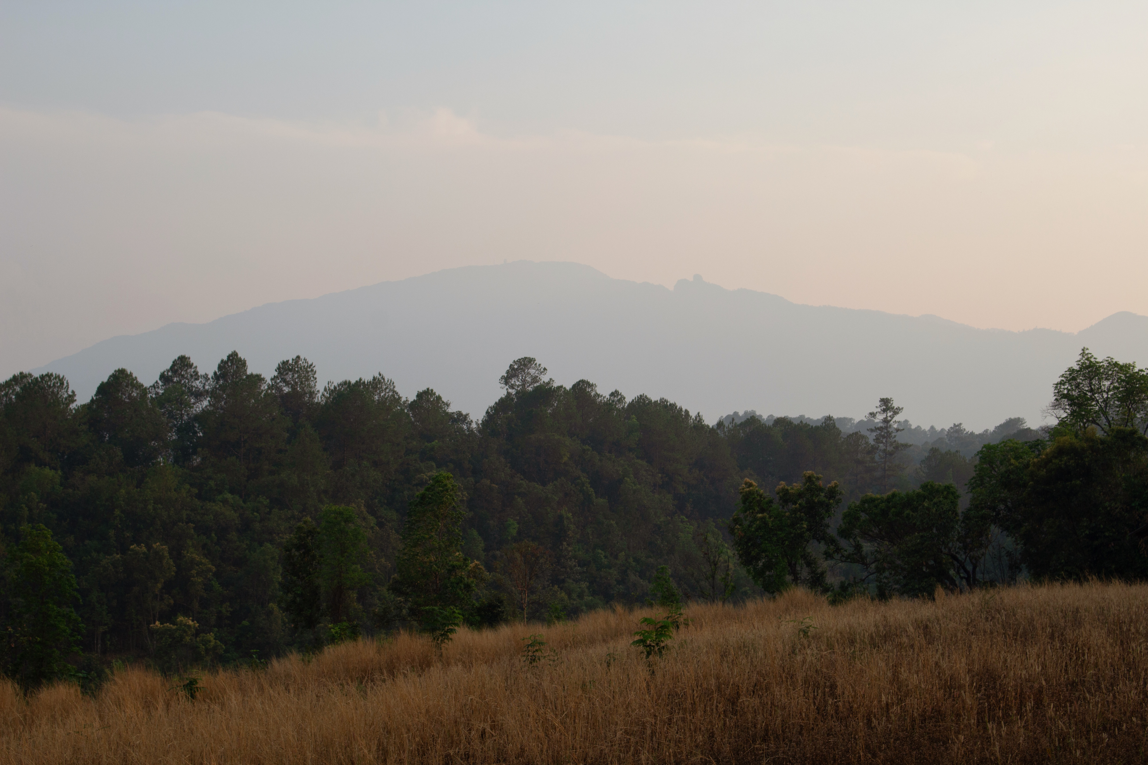 THAILAND, CANON DIGITAL