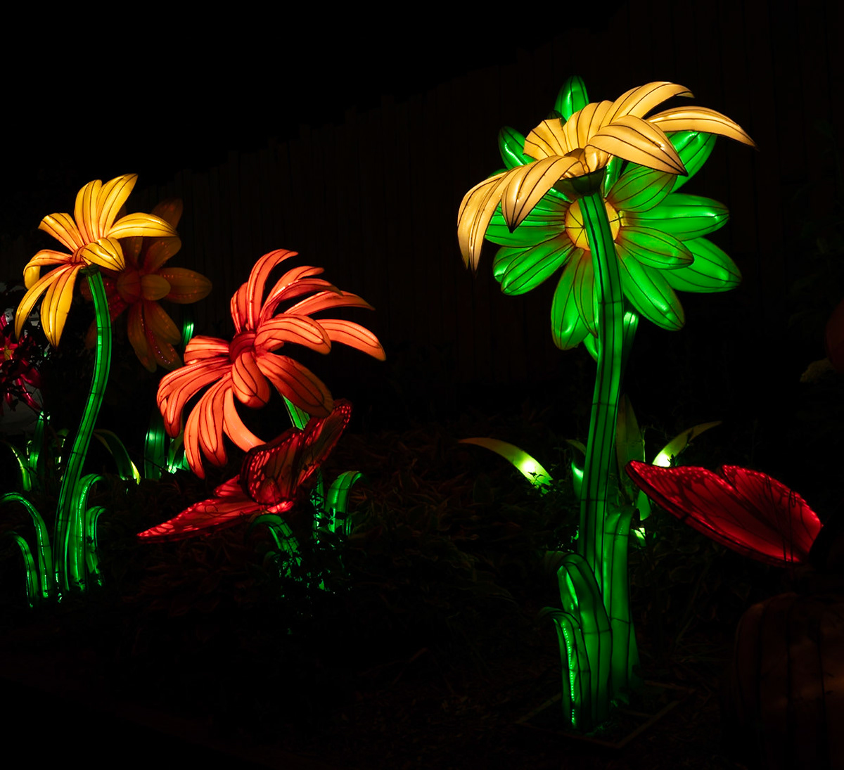 John Ball Zoo Lantern Festival 67